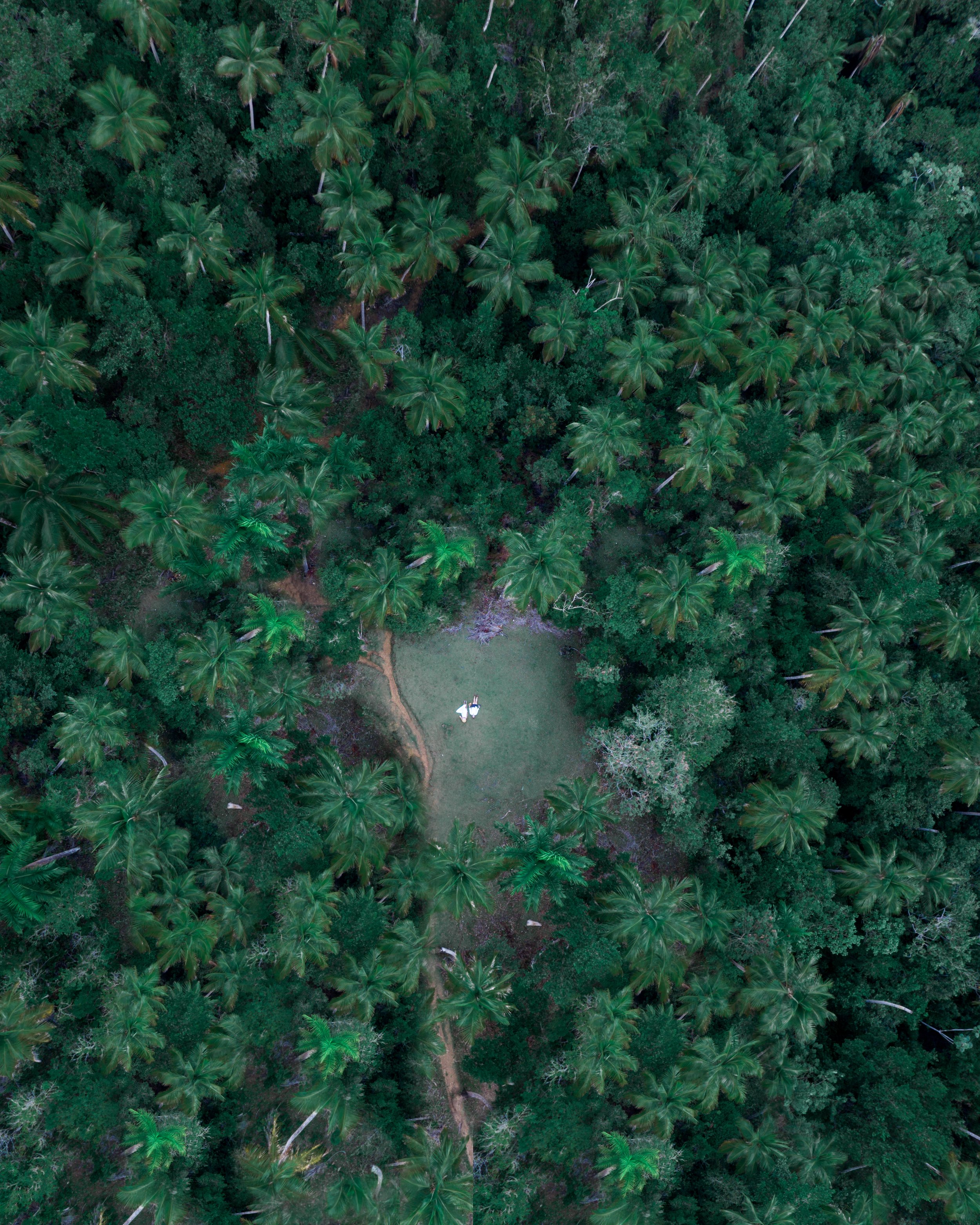 El Limón Waterfall Dominican Republic Drone Photo From The Jungle