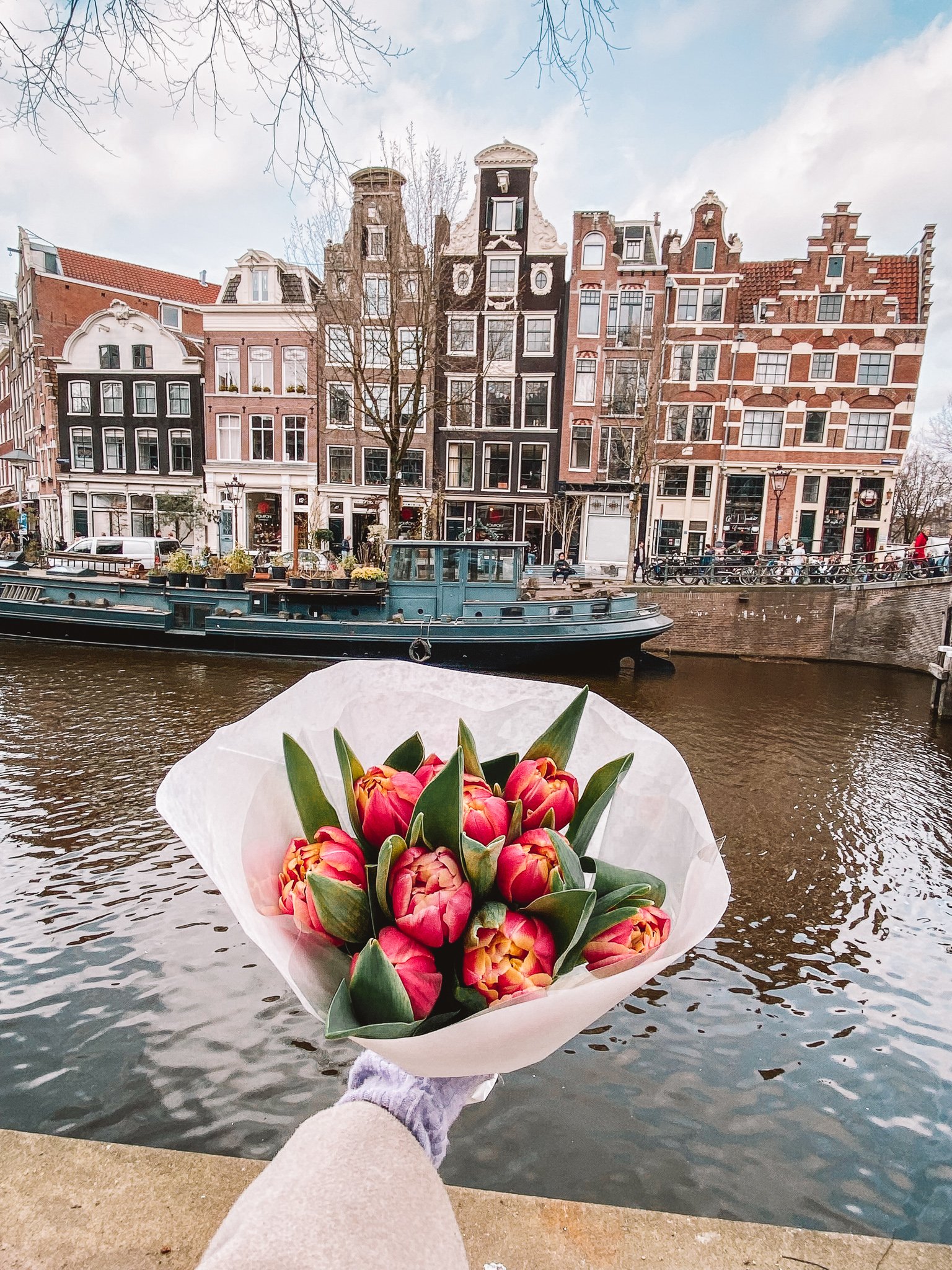 Tulip Bucket And Amsterdam