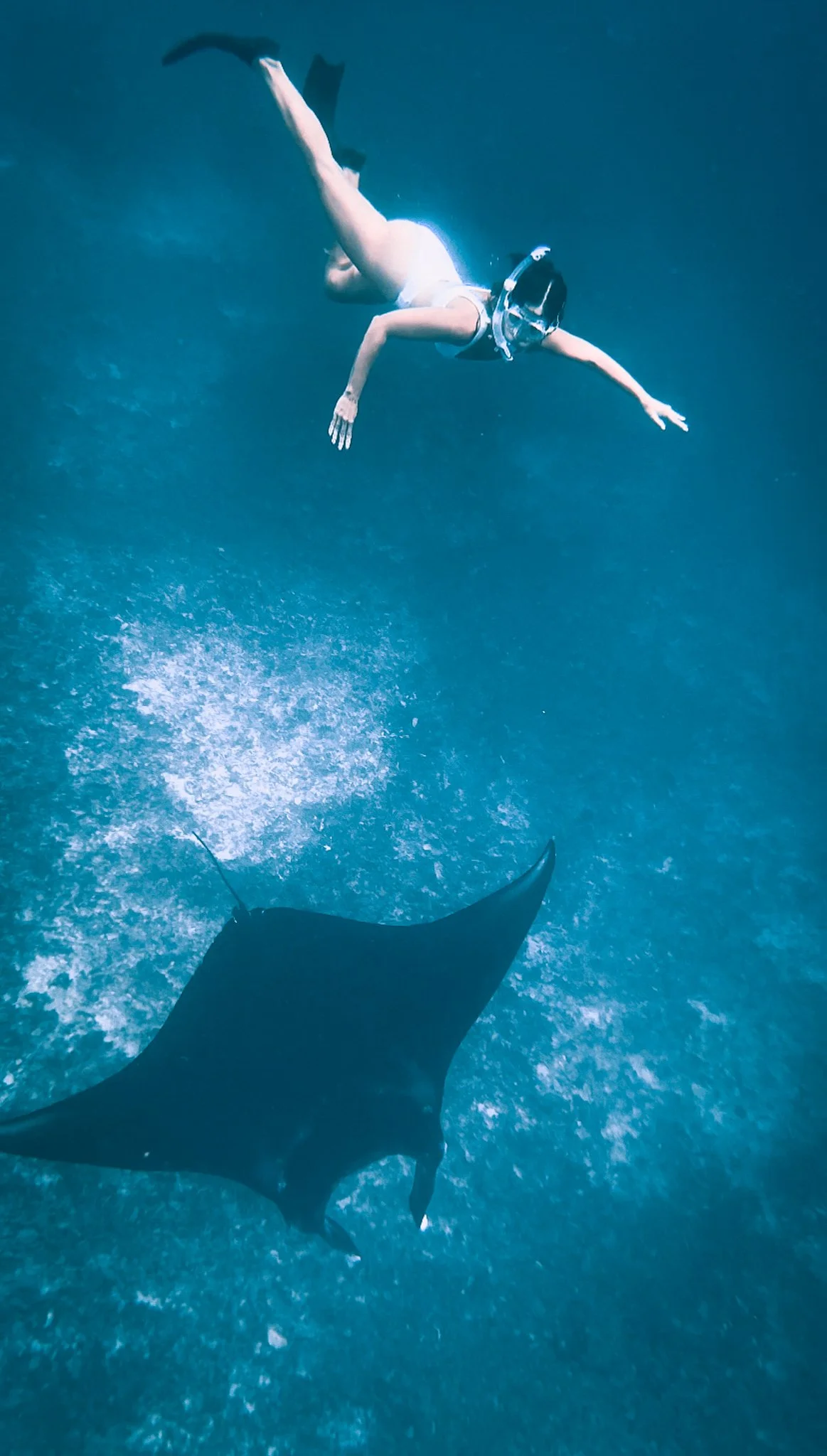 4 days in Komodo, Perfect Couple Itinerary