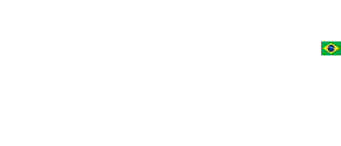 Capoeira Team NYC