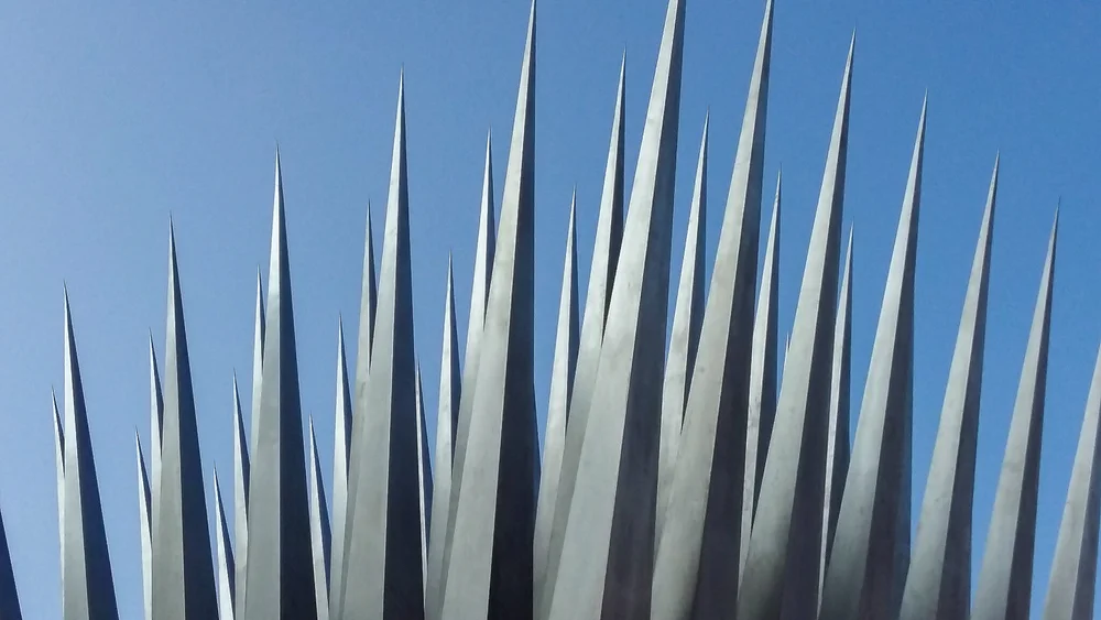 20160314_084545.jpg