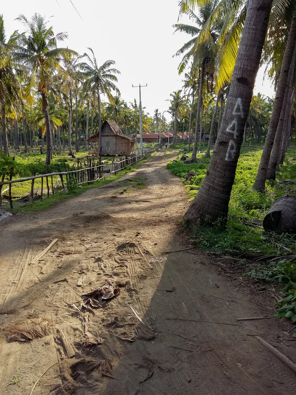  In the middle of Gili T 