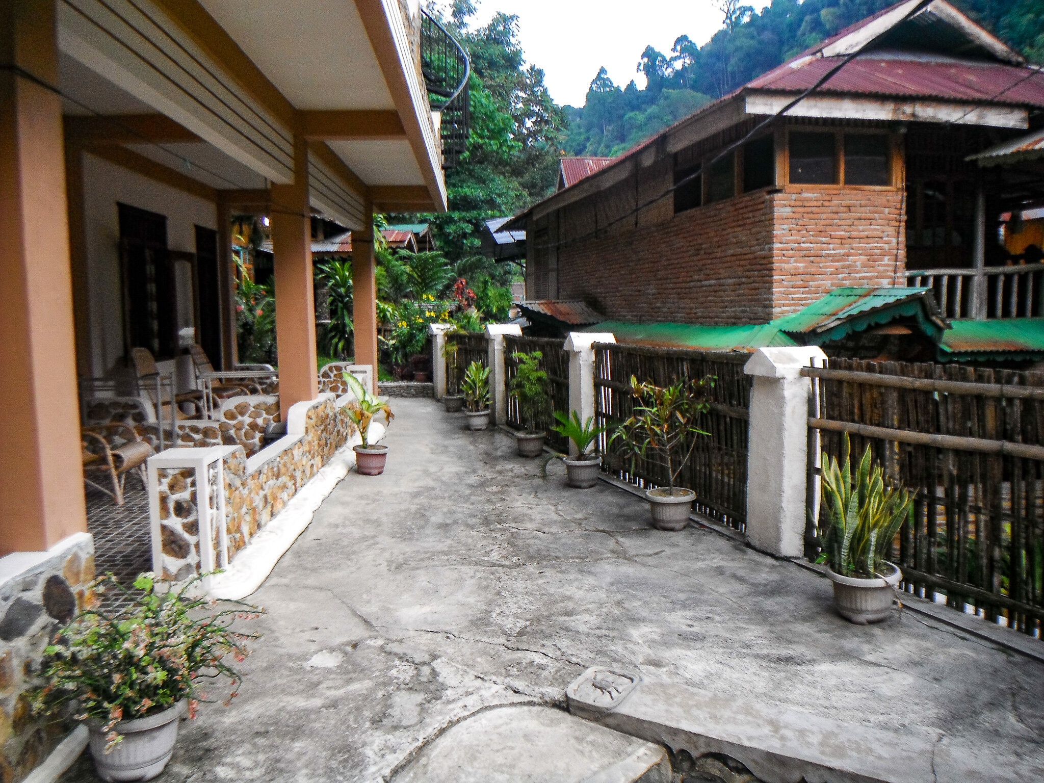  Bukit Lawang 