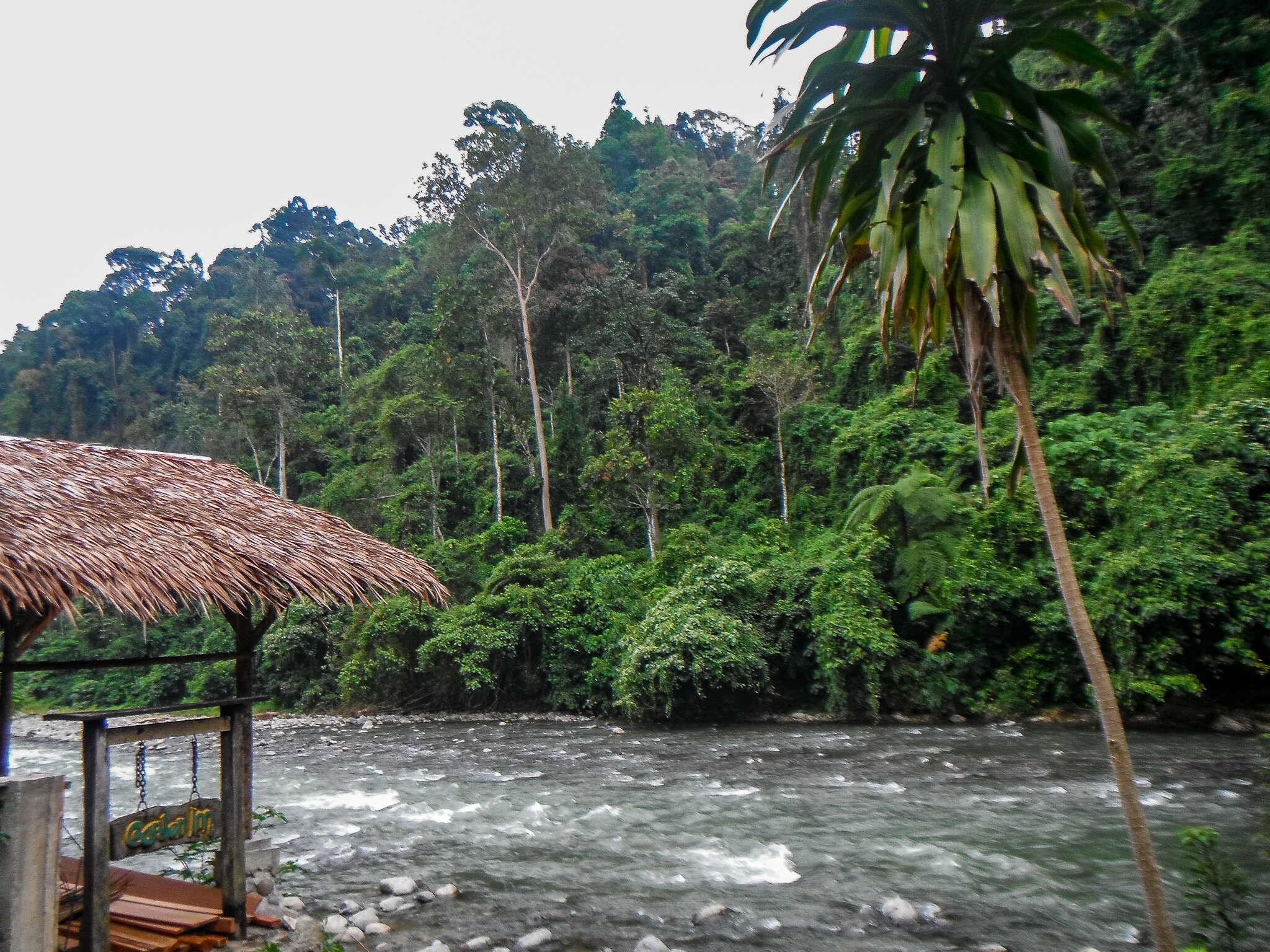  Bukit Lawang 