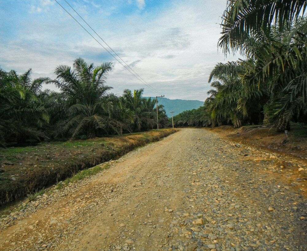  Road to Bukit Lawang 