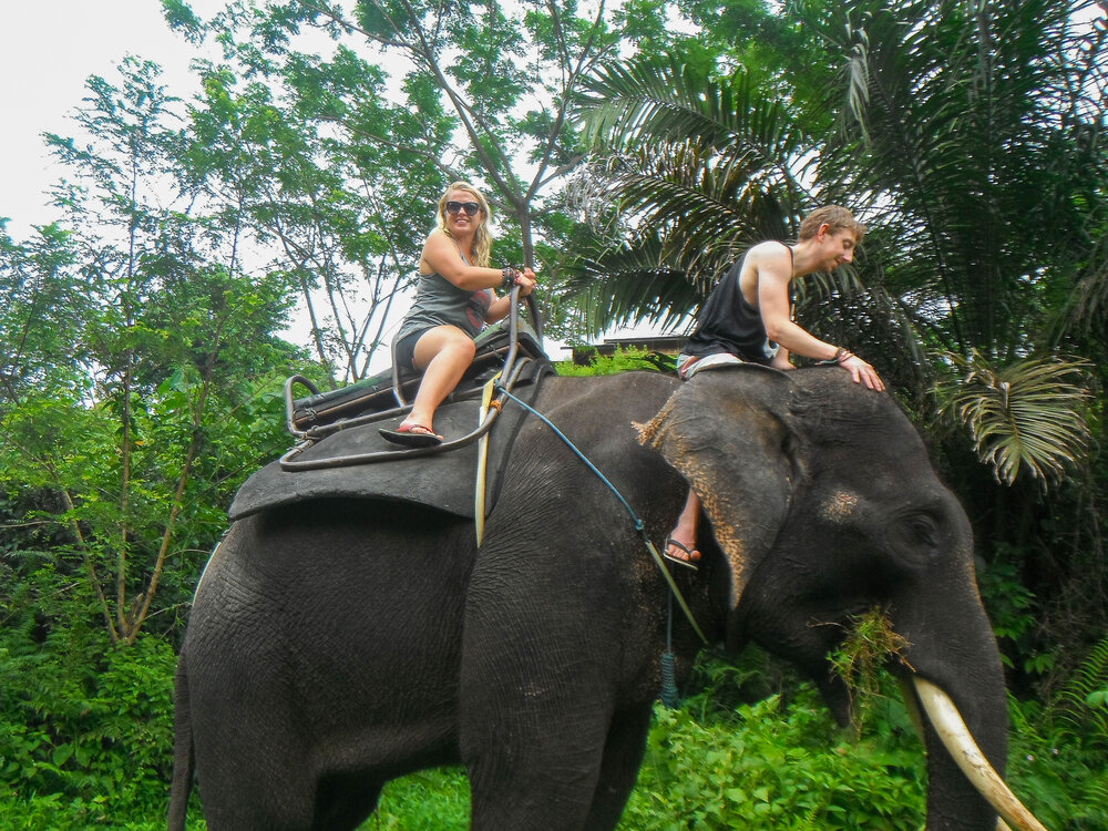  Elephant riding 