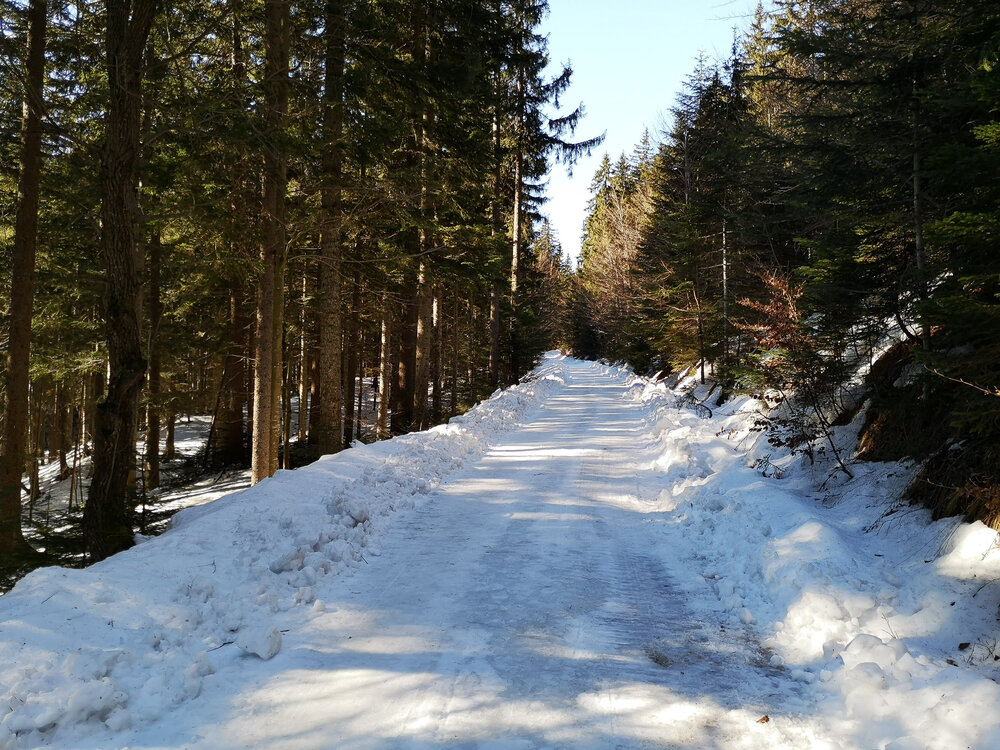  Hiking up to Kotschna from Javorniski  Rovt 