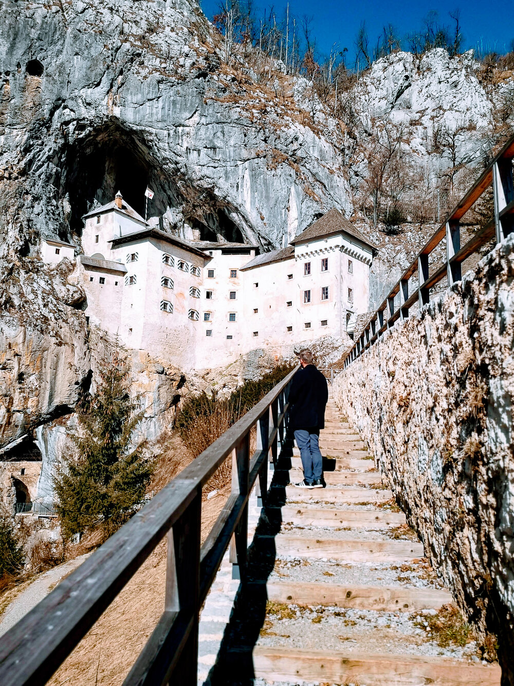  Predjama castle 