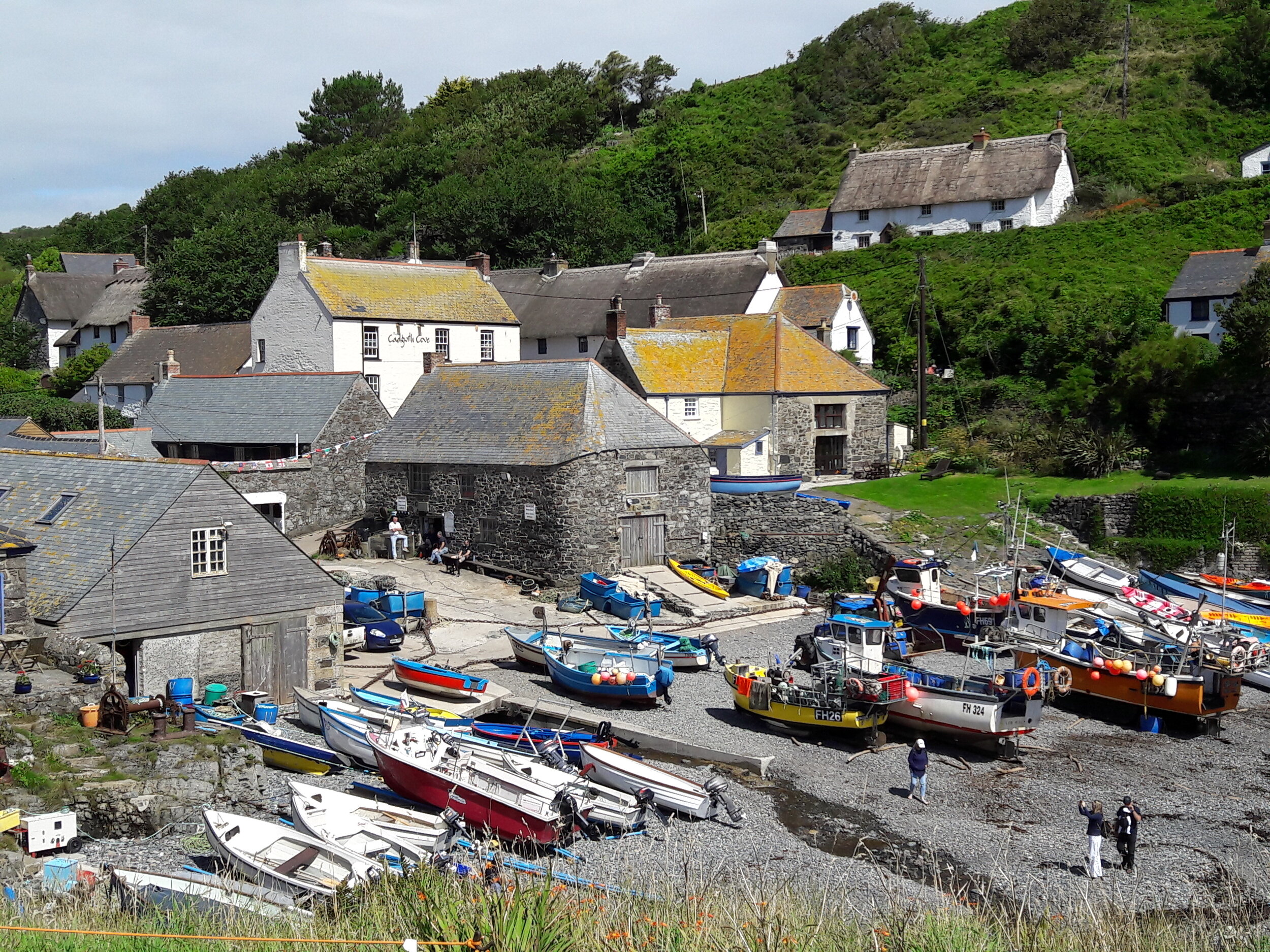  Cadgwith cove 