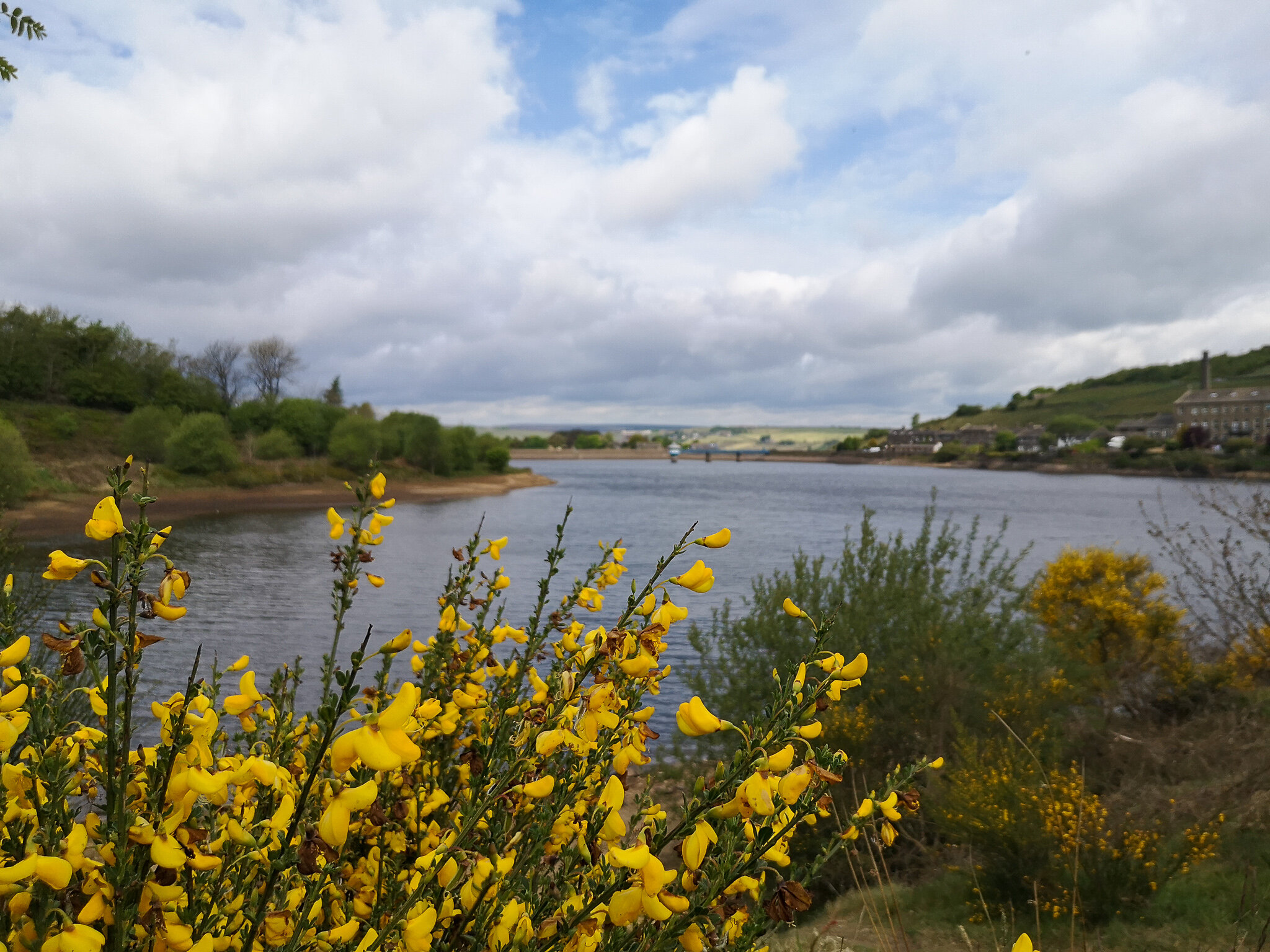  Leeming reservoir  