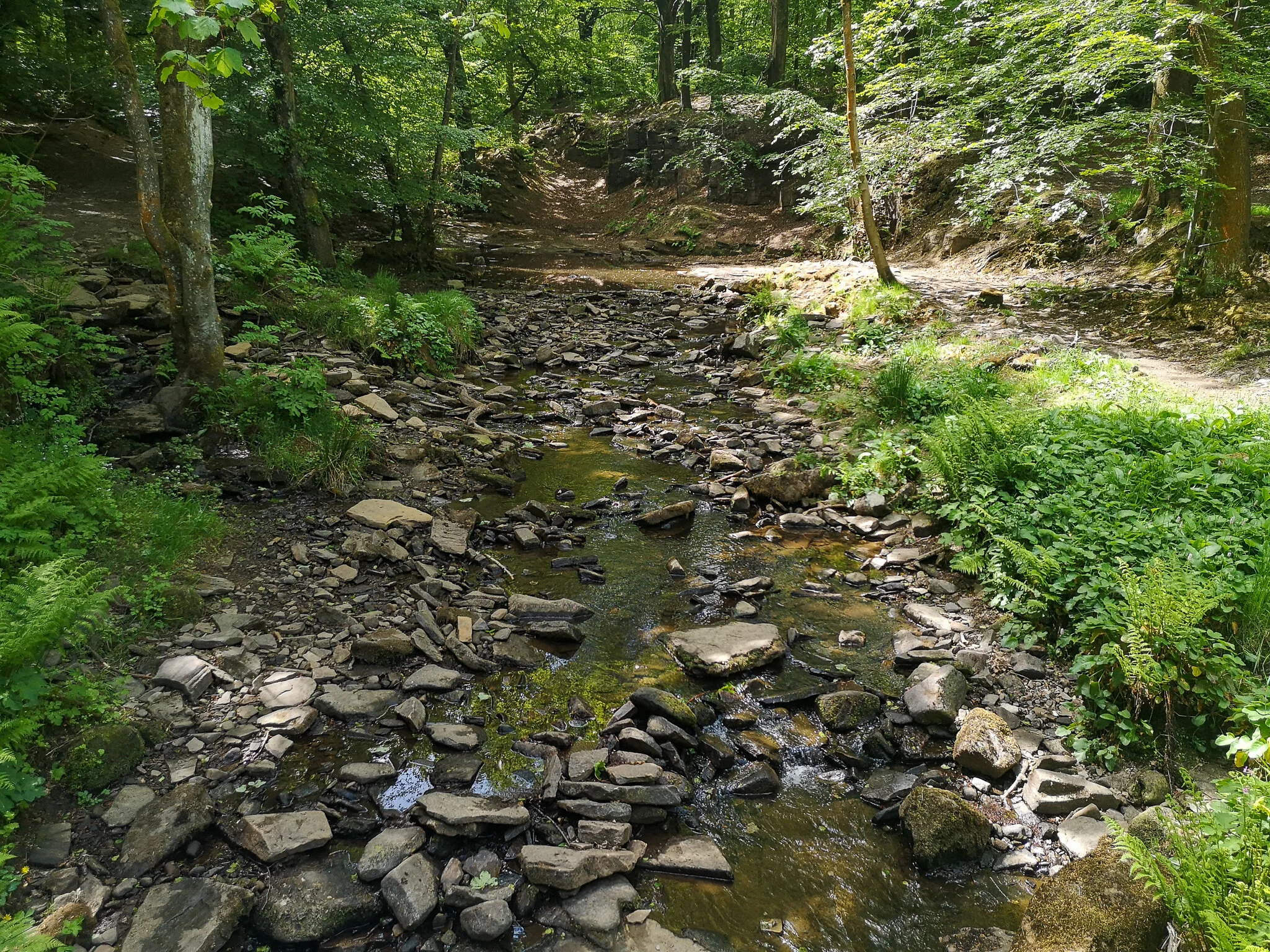  River Roddlesworth 