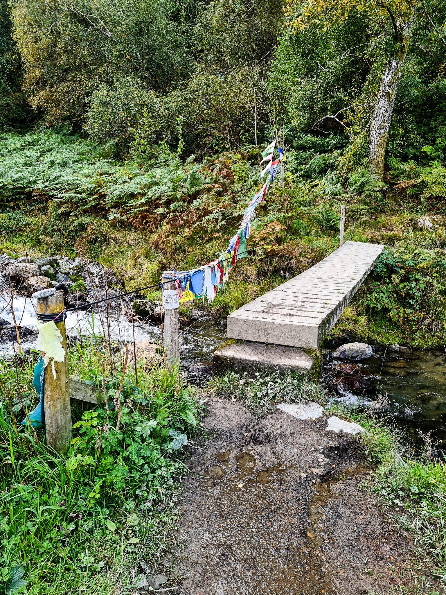 Bridge cross to end the hike