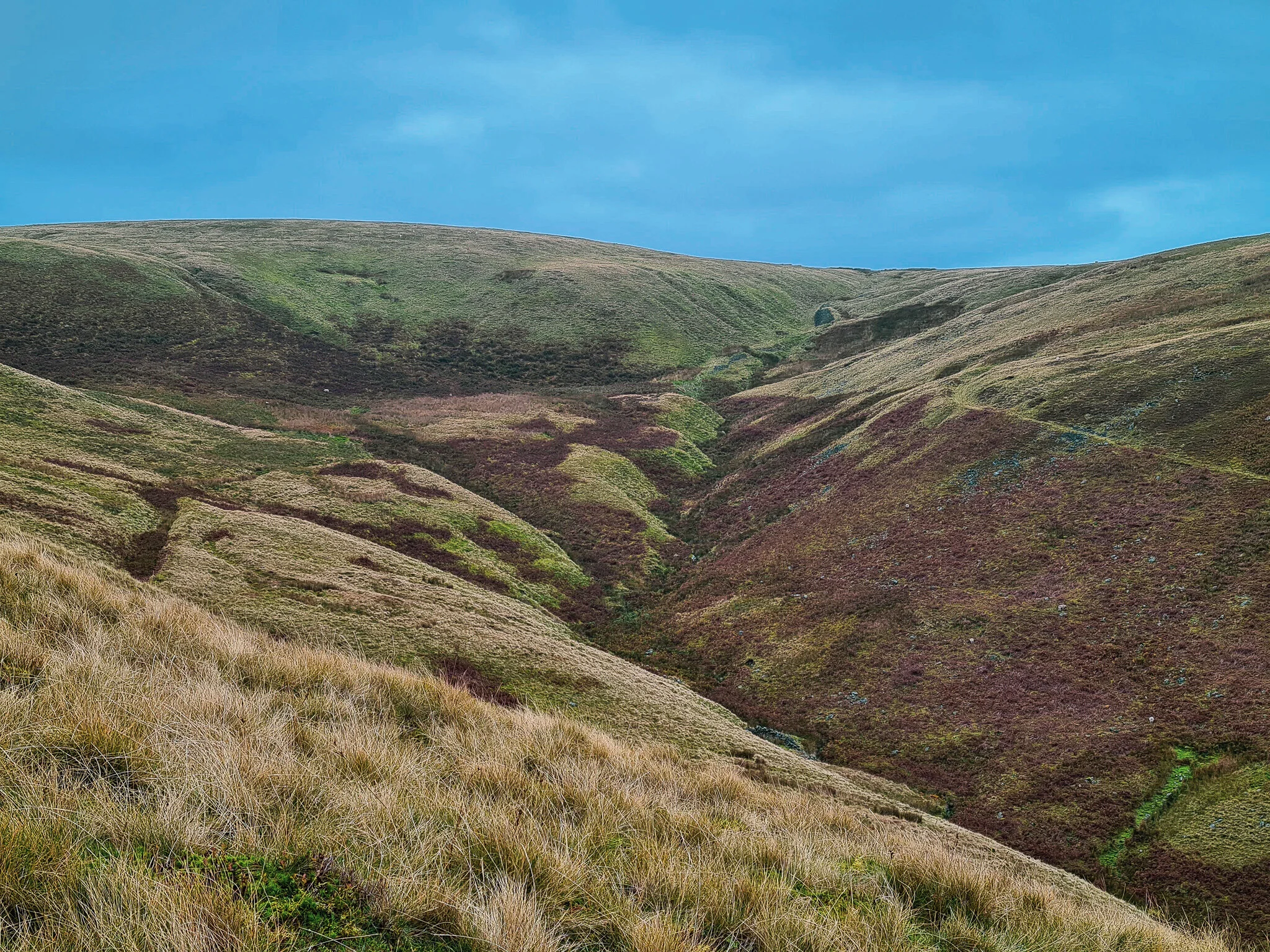 Wisket Hill in the distance