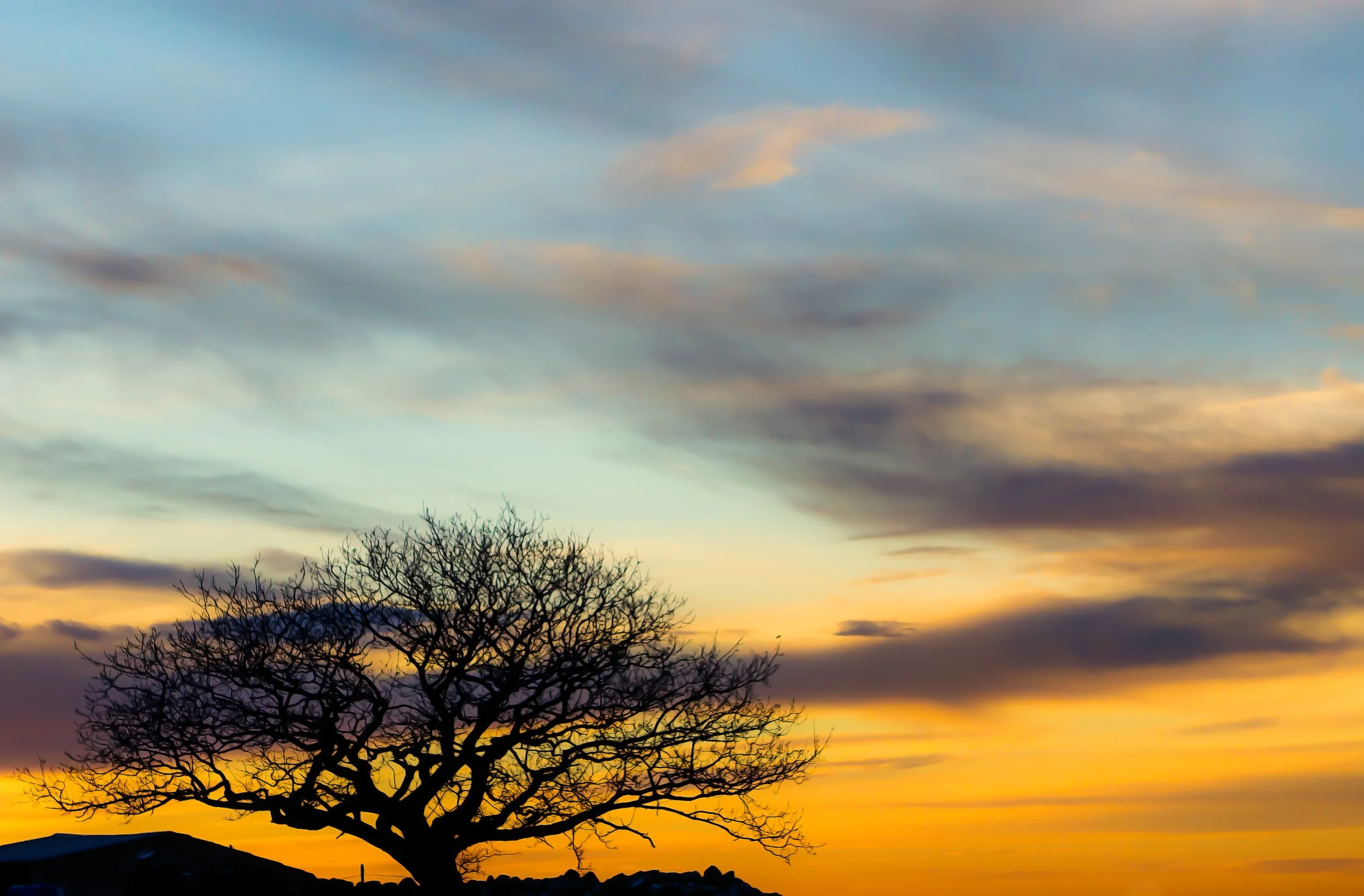 DSC03417-Edit.jpg