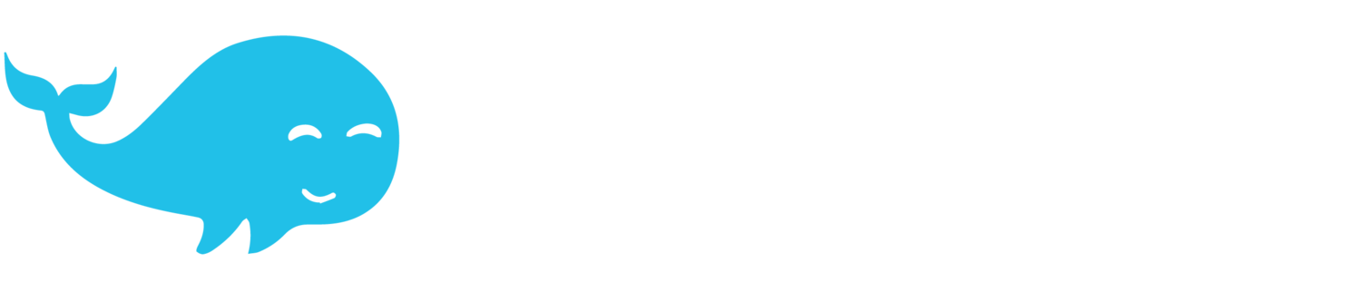 Valas Media