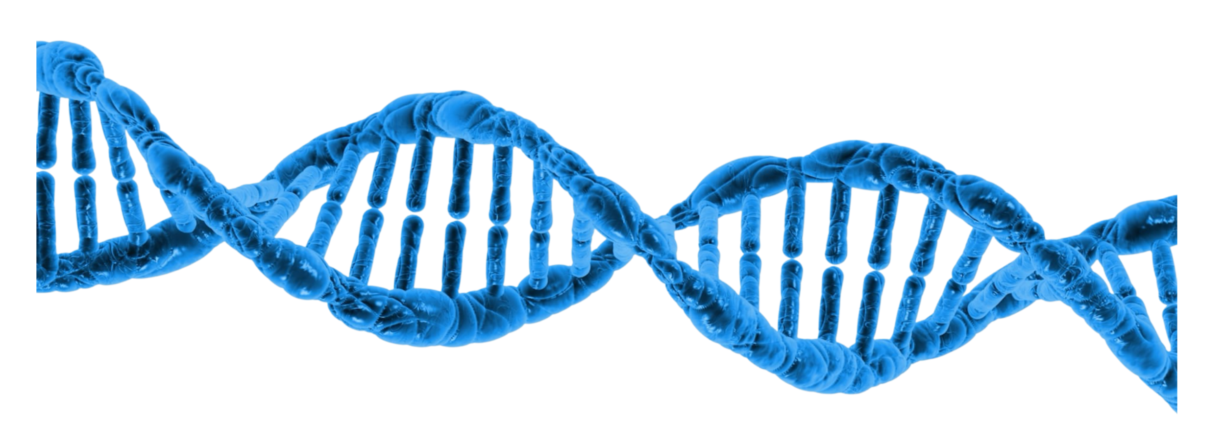 Get Involved In Epilepsy Research Epilepsy Sparks Get Involved In Epilepsy Research Epilepsy Sparks