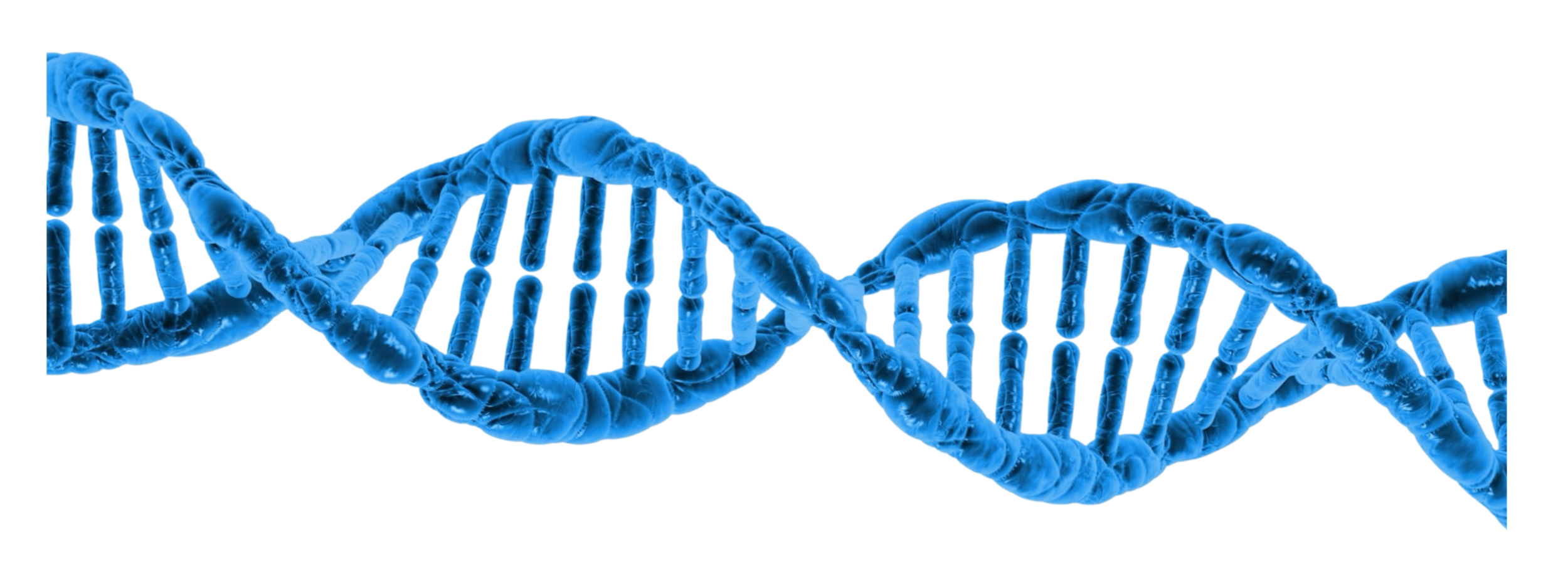 Get Involved In Epilepsy Research Epilepsy Sparks