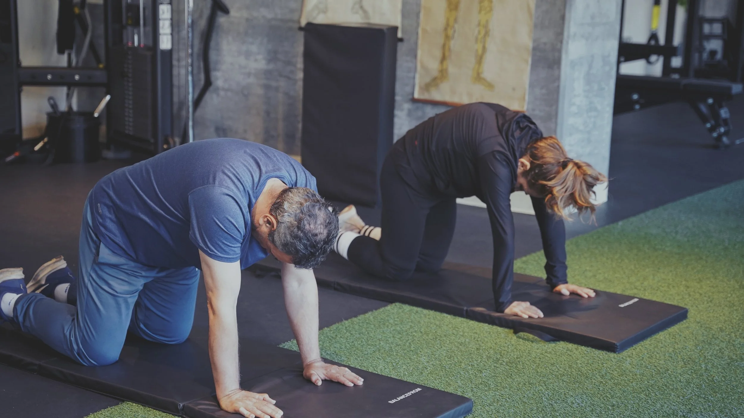 Longevity Programs — Tailoredfitpt