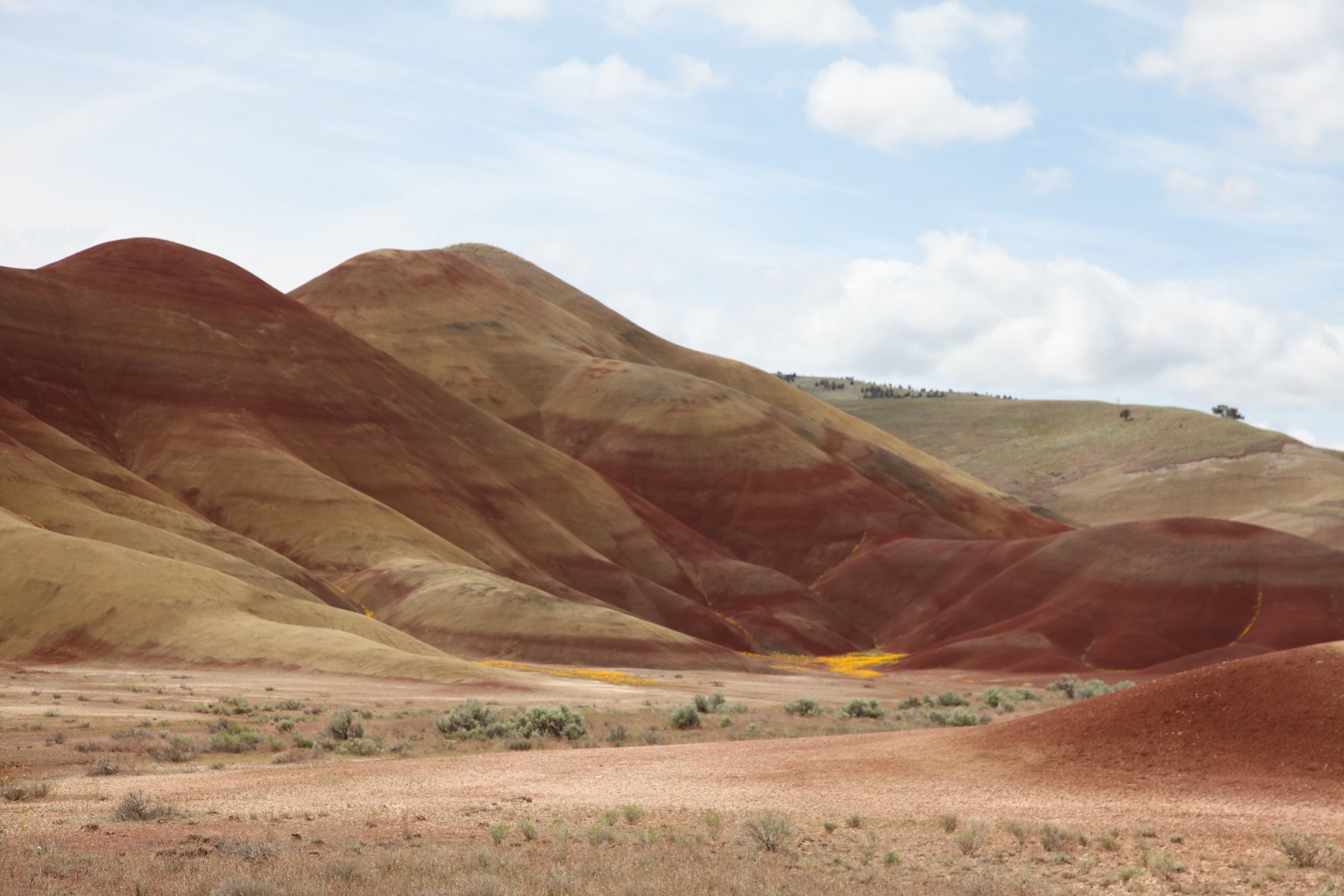 Painted Hills National Monument