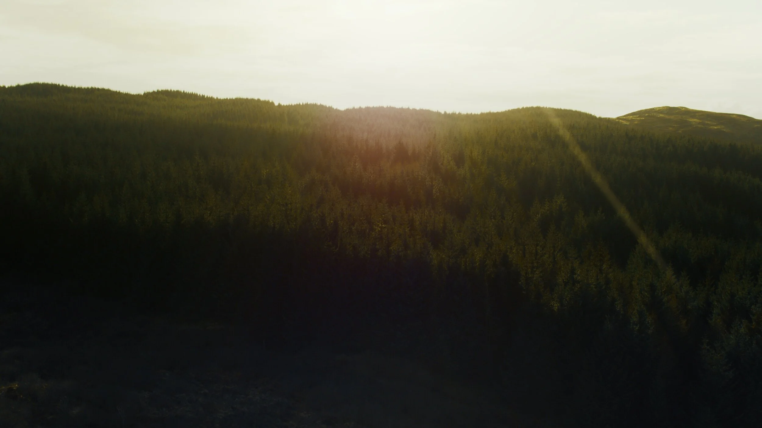 Botanist_Teaser__Drone_04_1.49.1.jpg