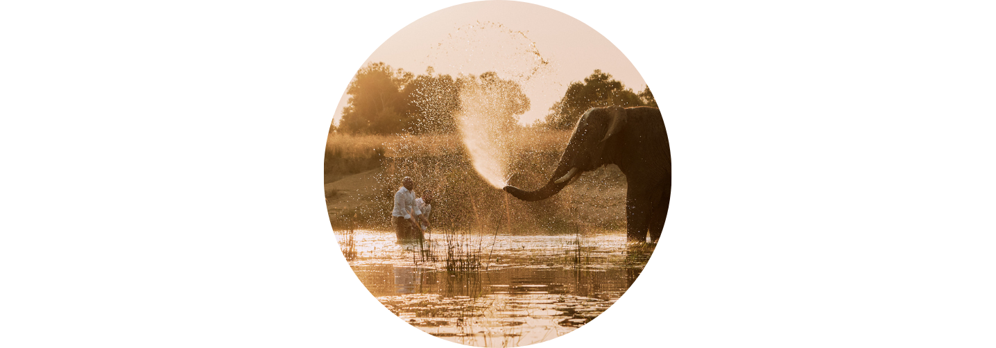 Louw van Staden Photography - Reviews