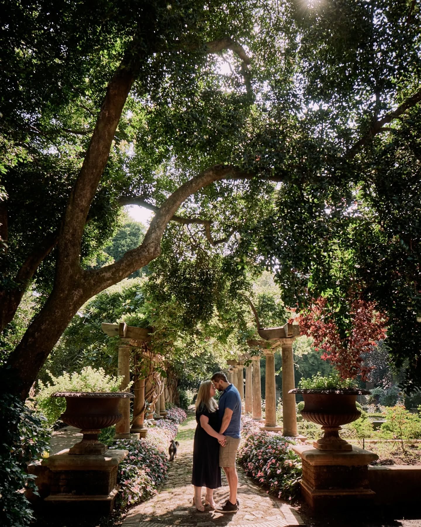 Kelly &amp; Jonathan are getting married in December. From a recent couple shoot with the adorable Gimli, their miniature schnauzer. 🐕&zwj;🦺

Lots of fun at the stunning @beechwoodgardens_

@kelly_vdh