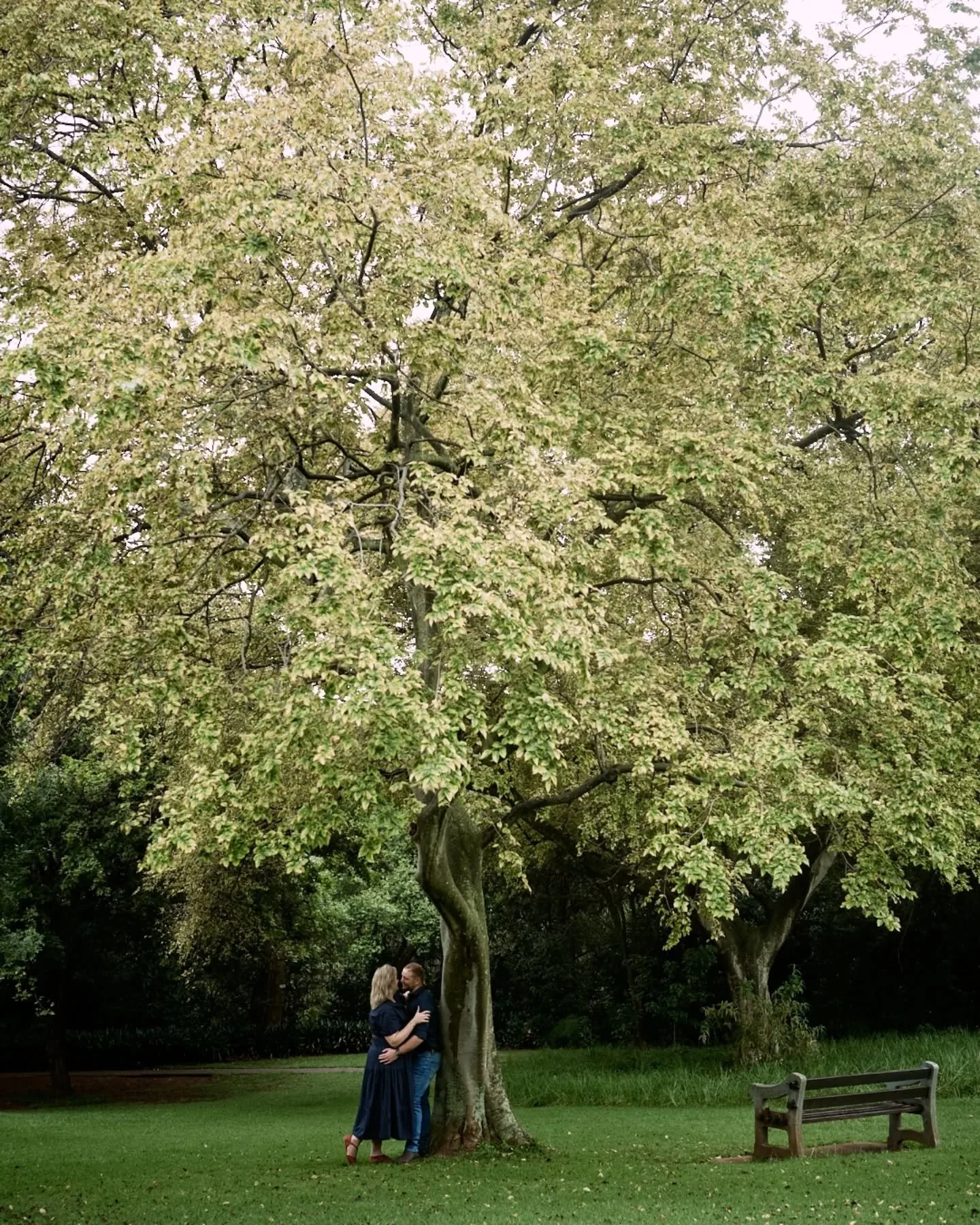Tarien &amp; Daniel 🤍
Getting married later this year.
A wet and rainy Sunday morning shoot with the softest light and the loveliest couple.

#rainydayshoot 
#morninglightphotography 
#CouplesInLove 
#johannesburgphotographer 
#softlight 

@easie_gr
