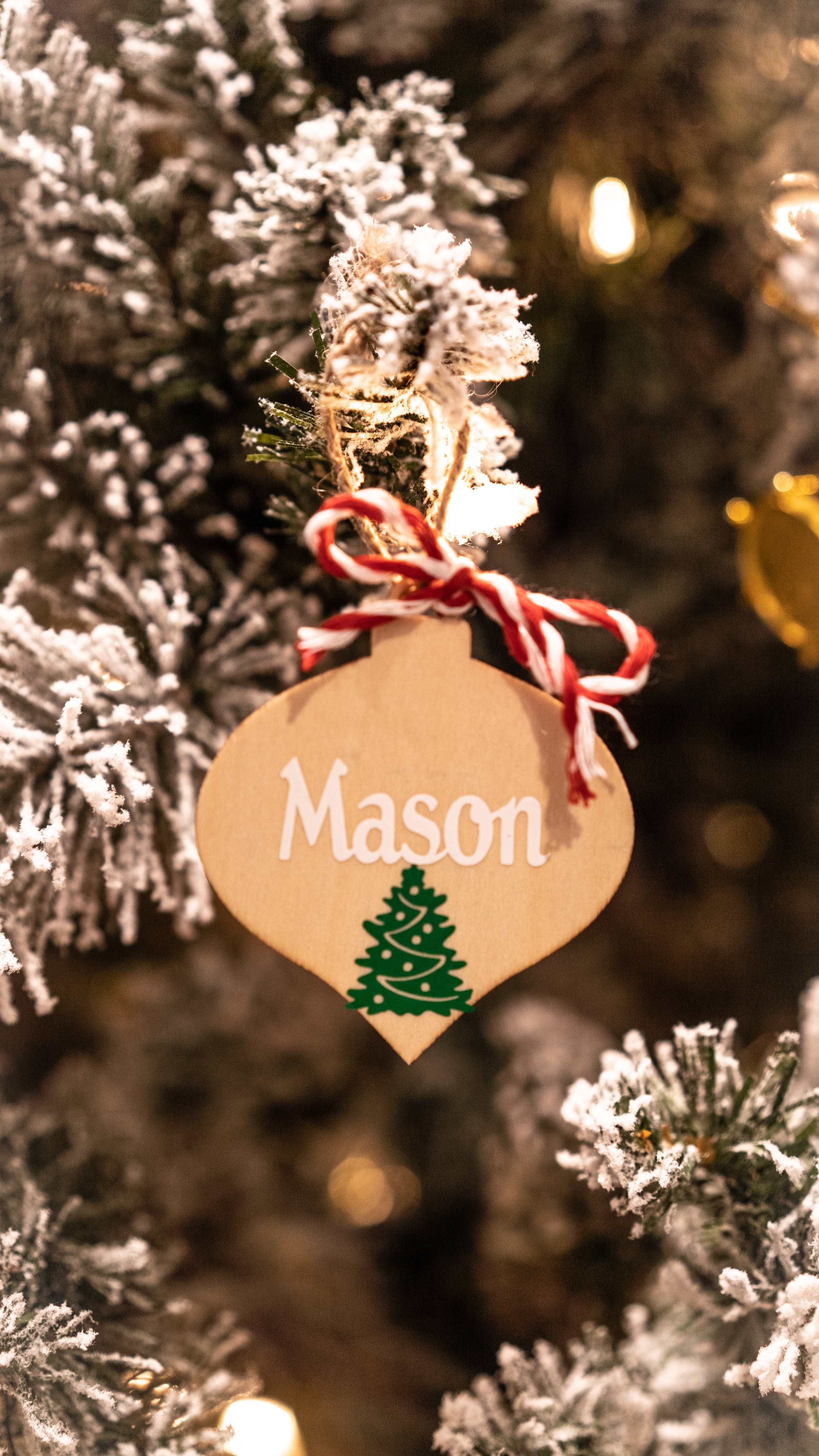 Custom Ornaments-06.jpg
