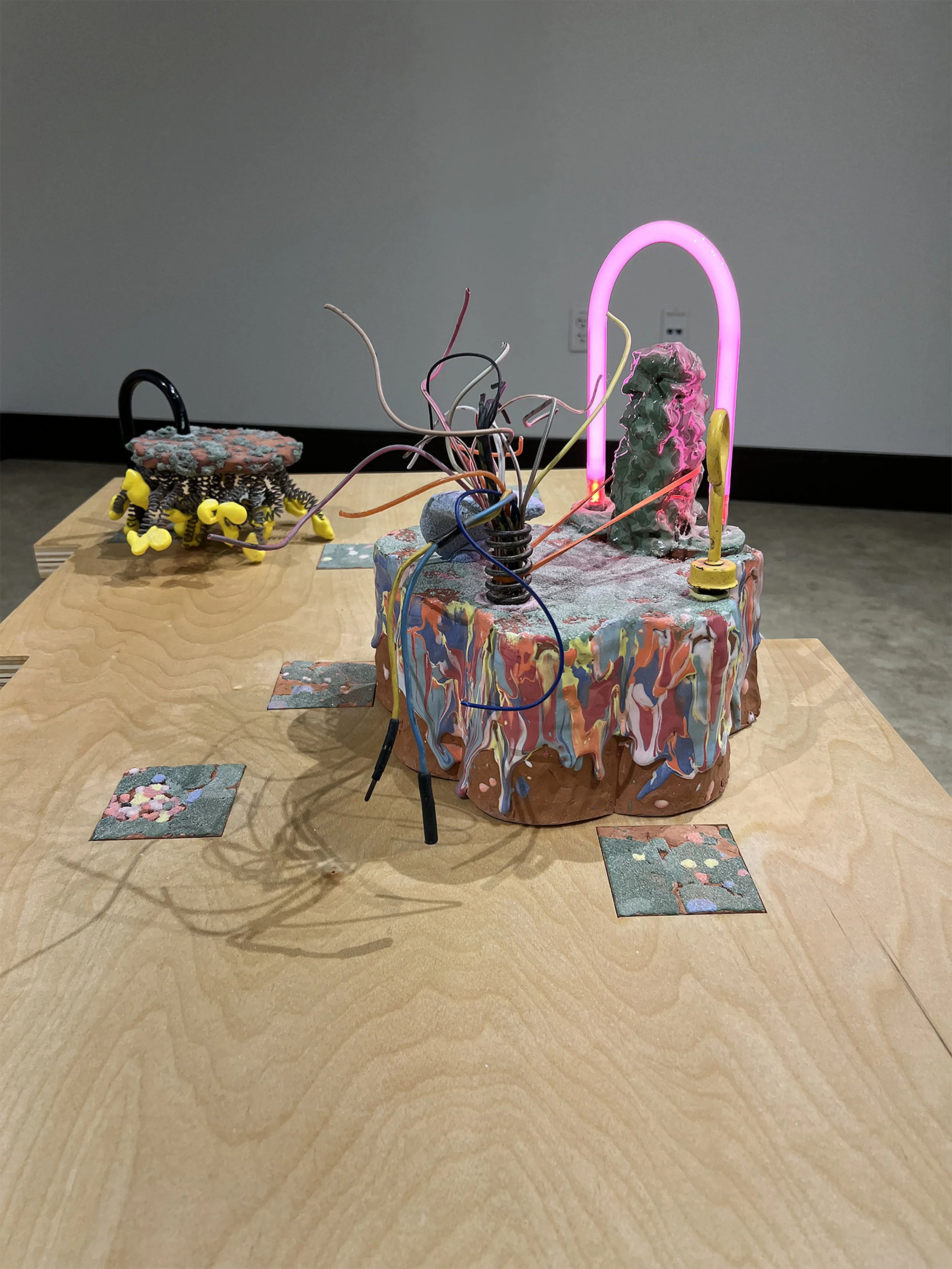 Pink Skies and Among the Wildflowers on Strata Table.jpeg