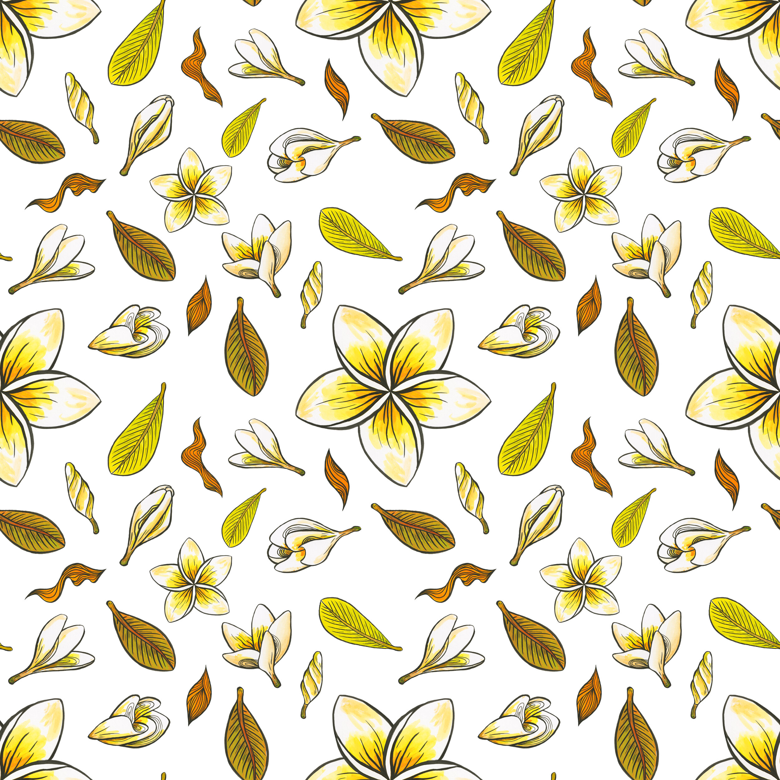 FARRAH_final pattern.jpg