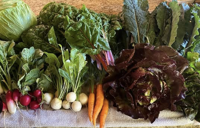 Solo Acre Farm vegetables