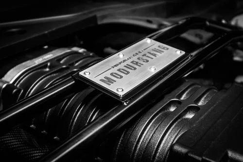 Custom Modurstang engine detail