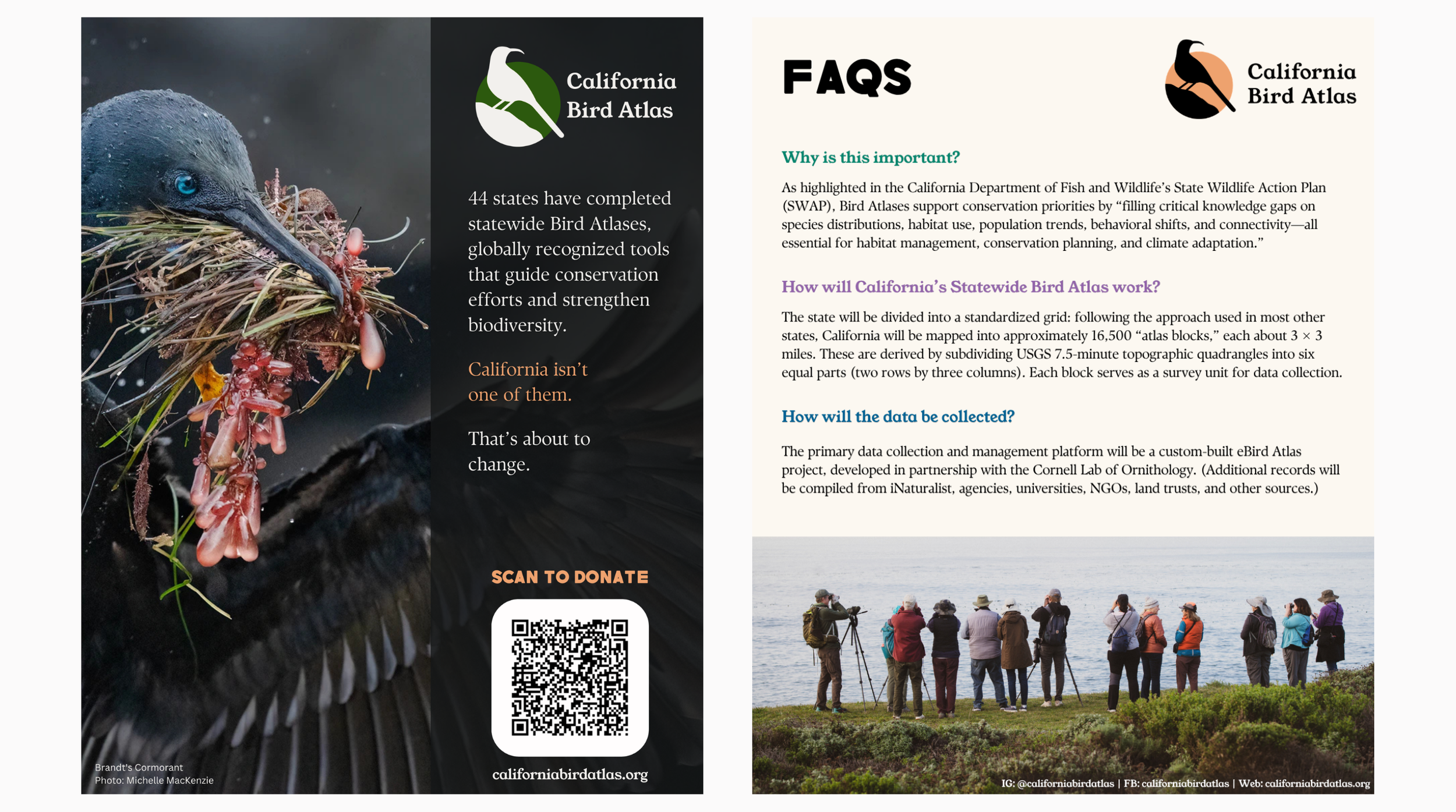 California Bird Atlas - Intro Sheet