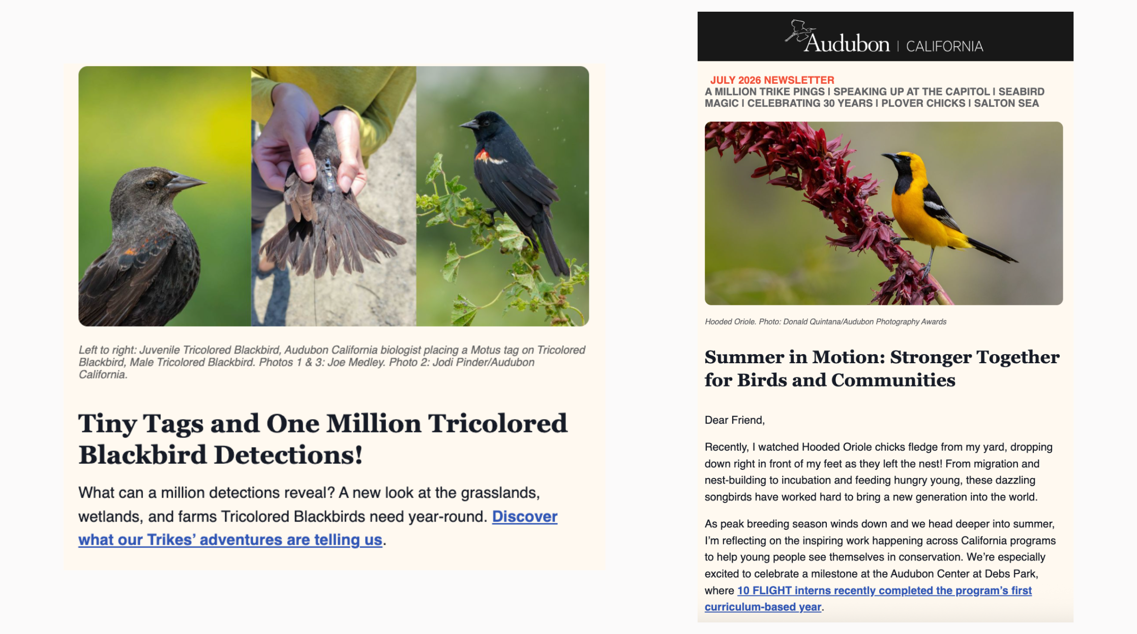 Audubon California - Quarterly Newsletter