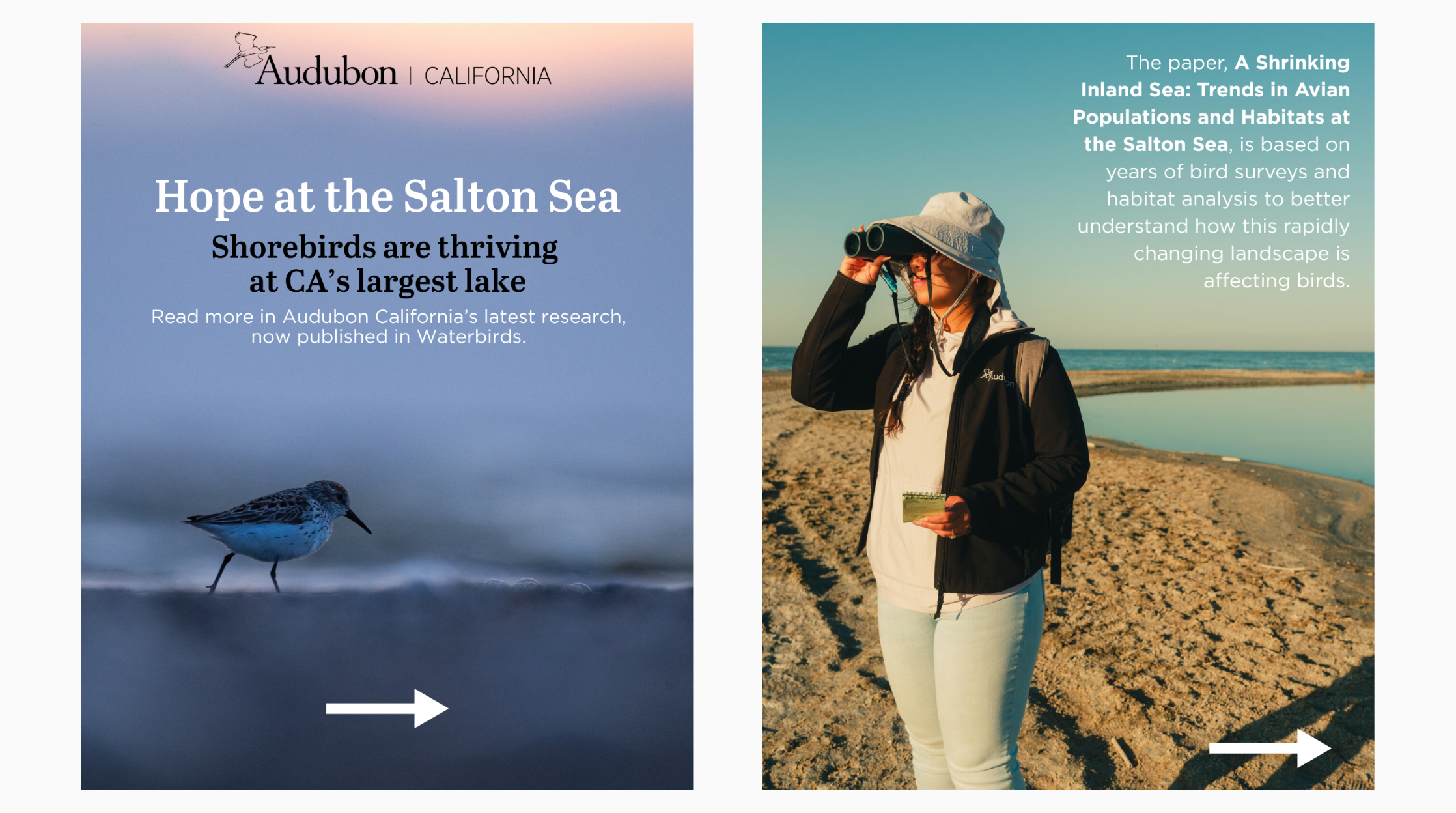 A Shrinking Inland Sea: Trends in Avian Populations and Habitats at the Salton Sea