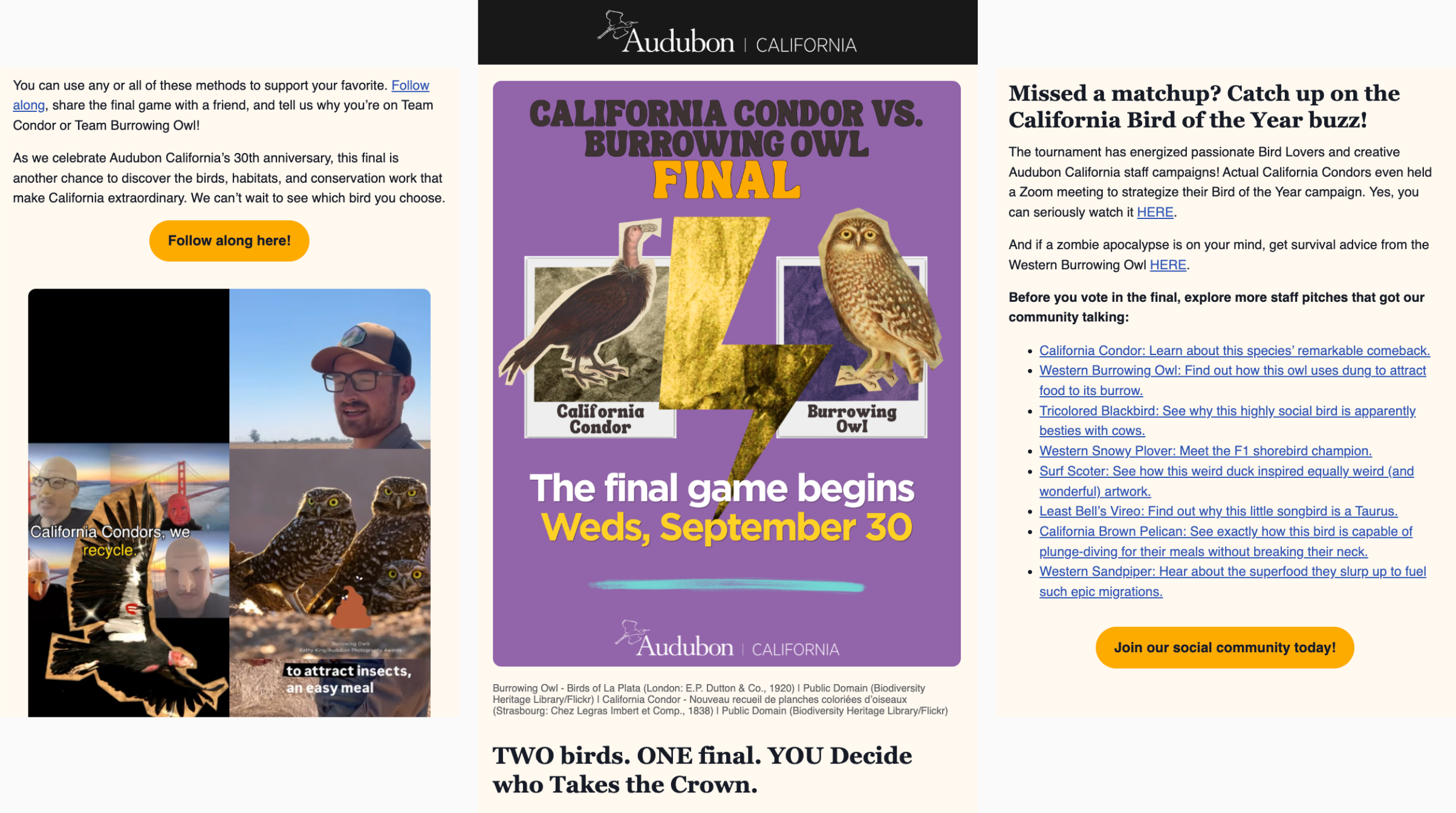 Audubon California - California Bird of the Year Campaign
