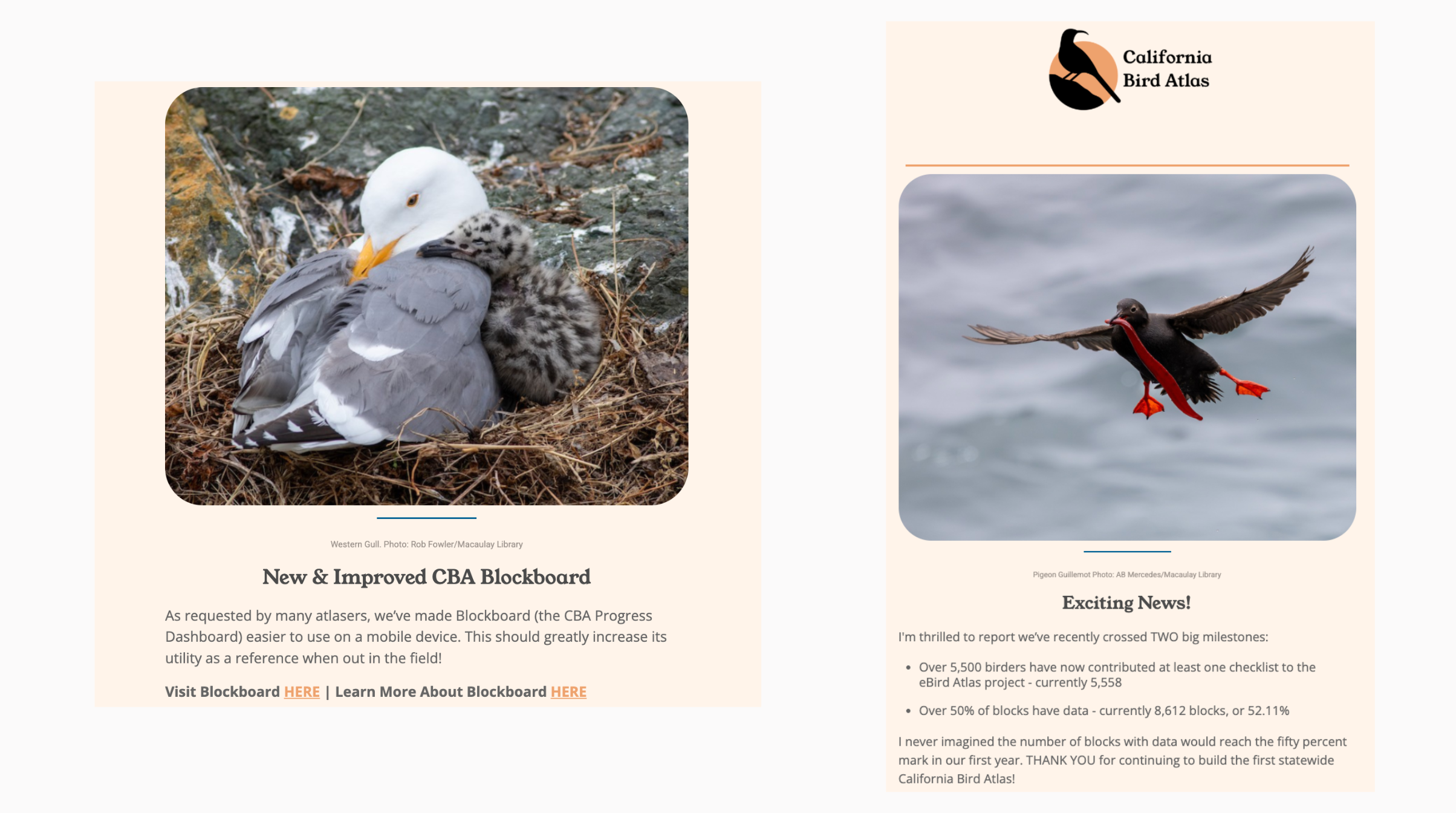 California Bird Atlas - Quarterly Newsletter