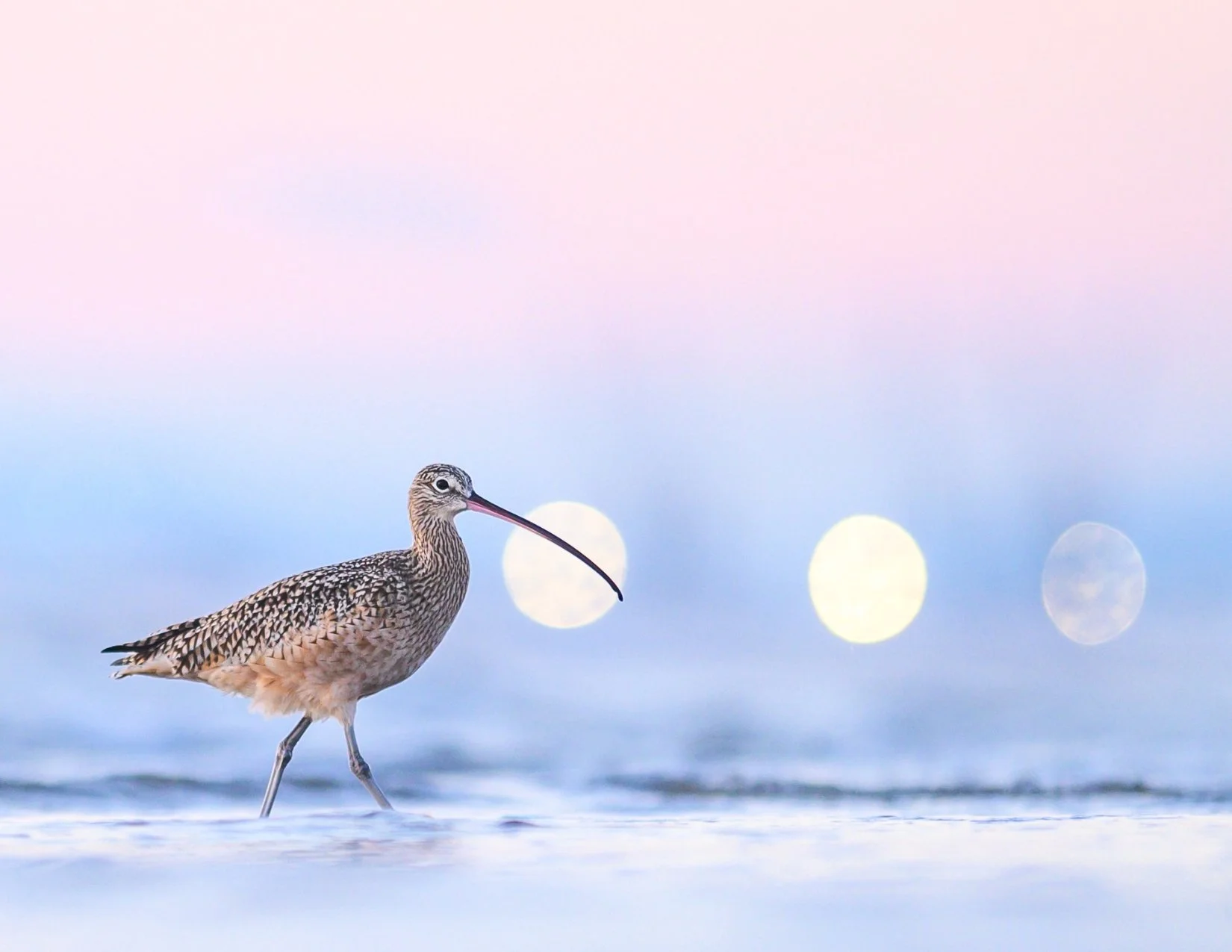 Postcard Bundle of 3 (Worldwide)