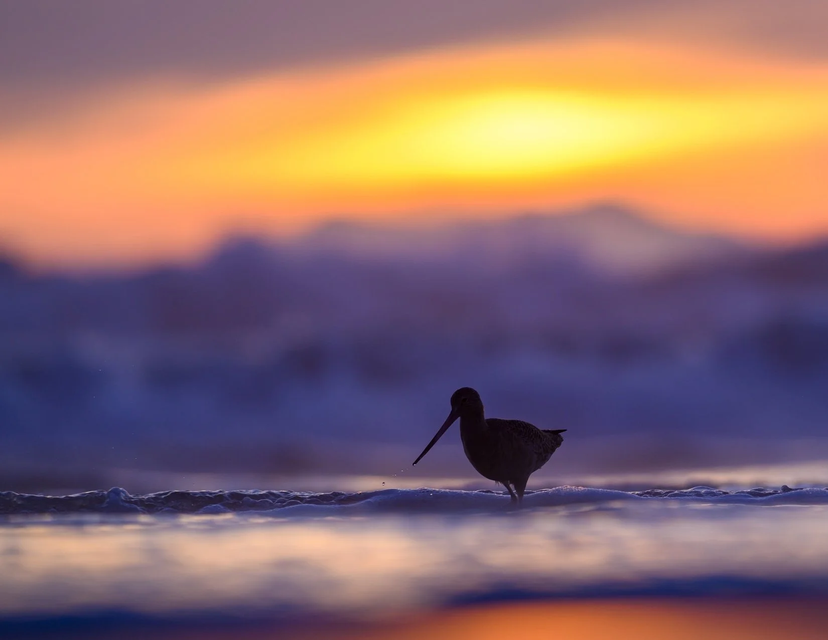 Any Photo Print by Alecia with Handwritten Haiku