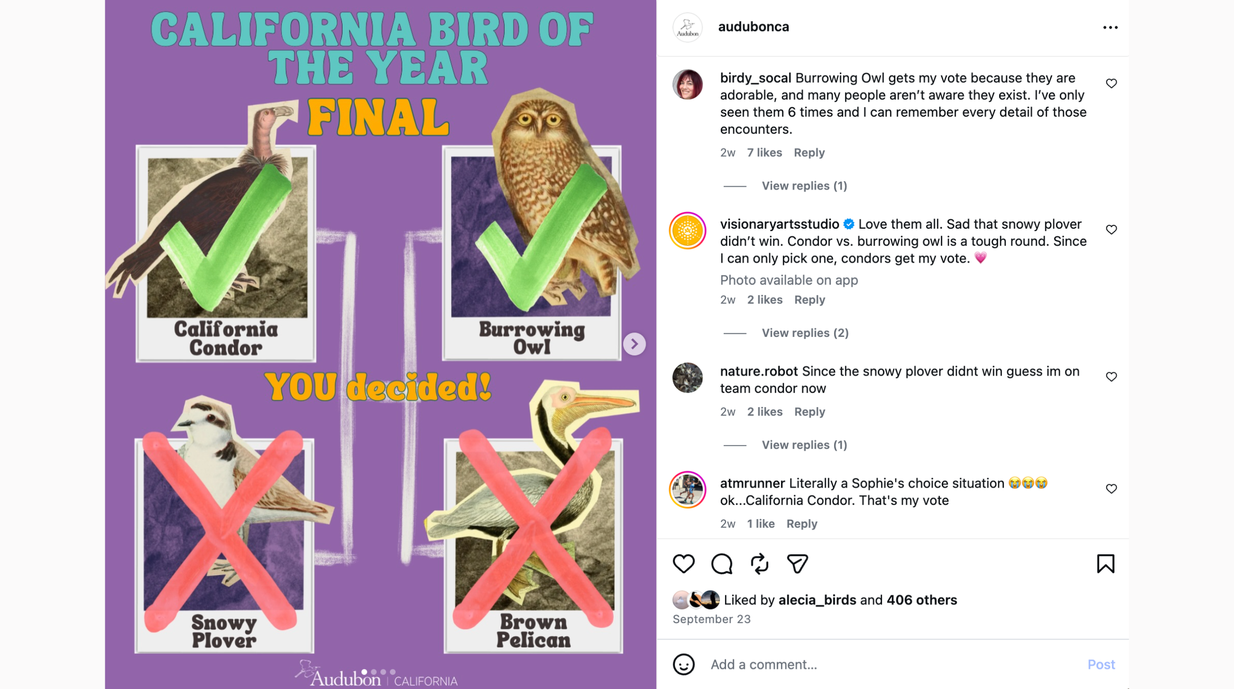 Audubon California - California Bird of the Year Campaign 