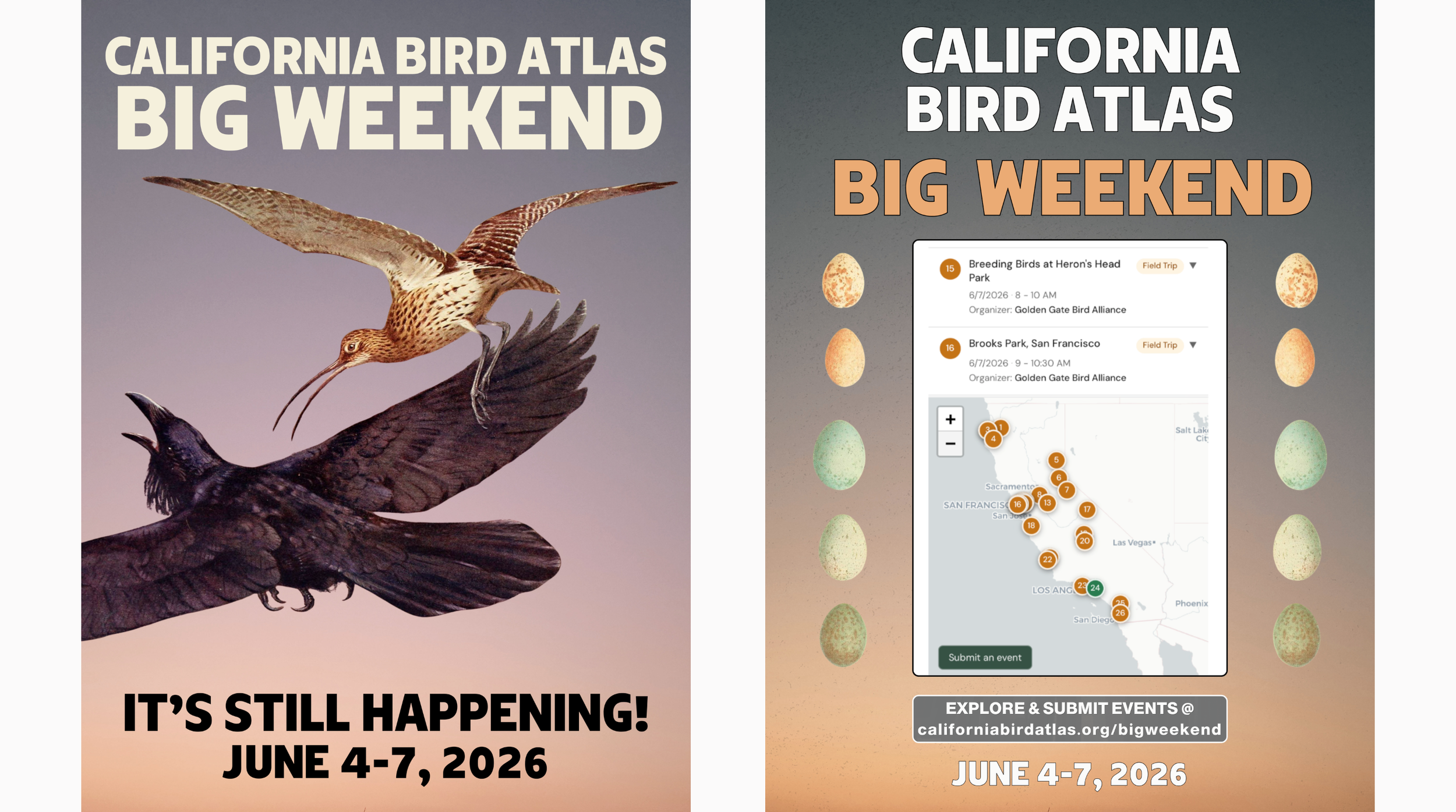 California Bird Atlas - Big Weekend Campaign