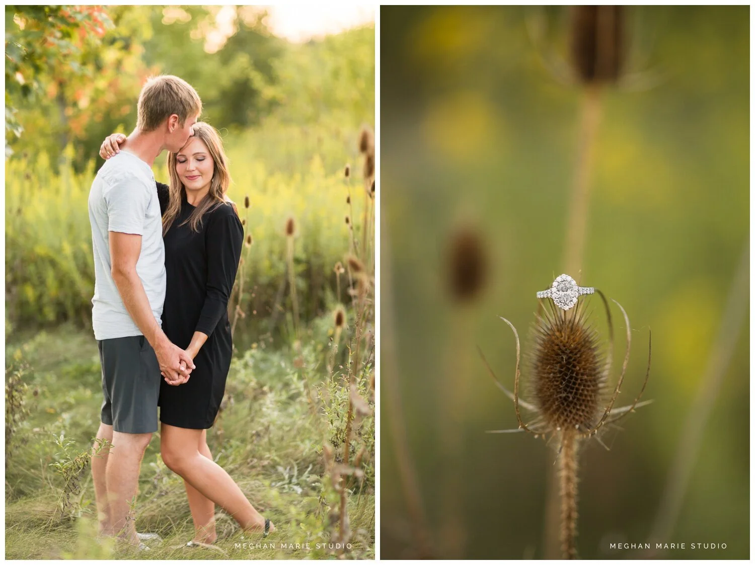 meghan marie studio wedding photographer ohio dayton columbus cincinnati people photog rustic outdoor summer engaged engagement sunset autumn fall pond grasses rustic sunset gazebo_2214.jpg
