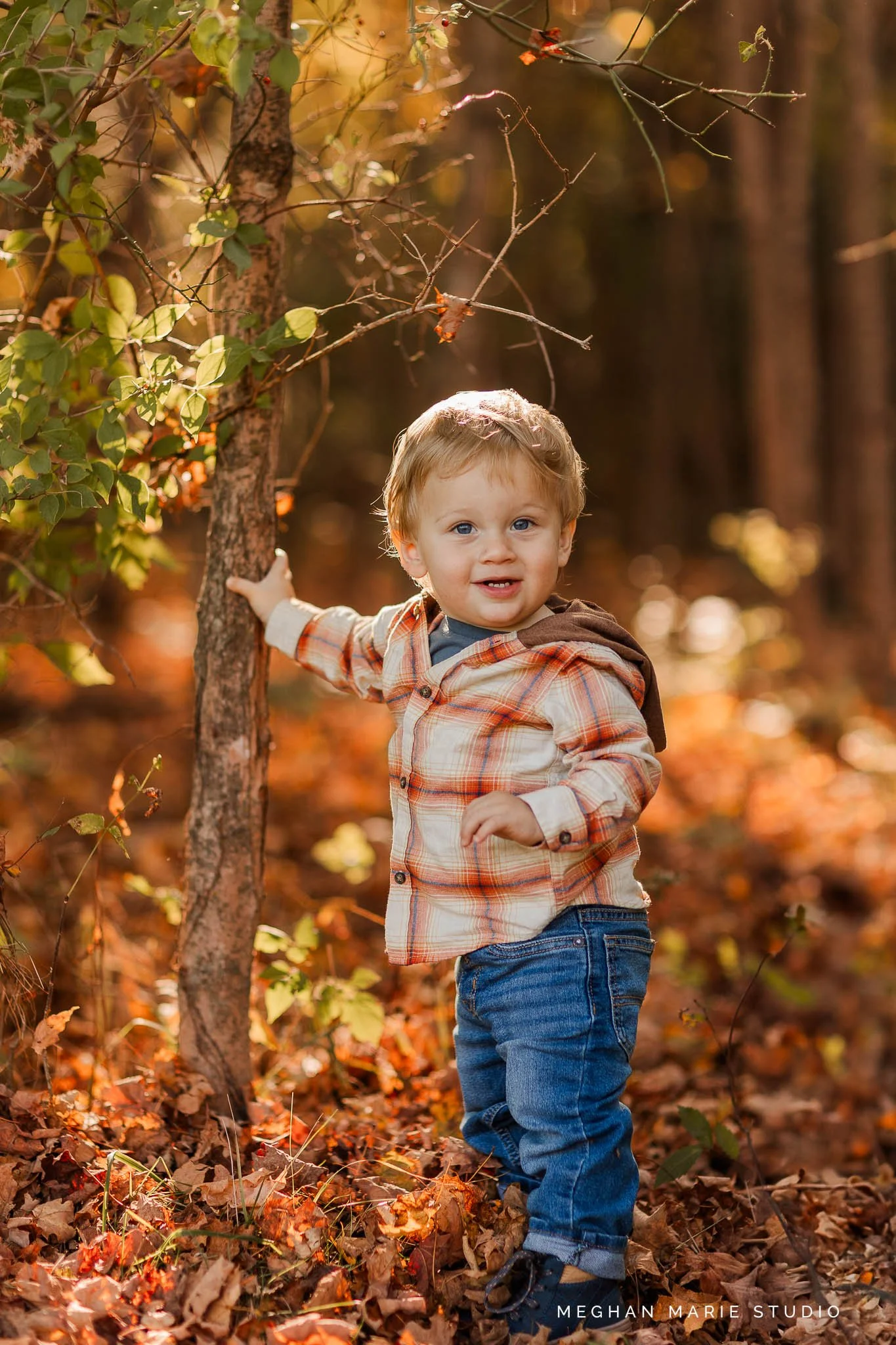 2025-fallminis-MeghanMarieStudio-FB-5364.jpg