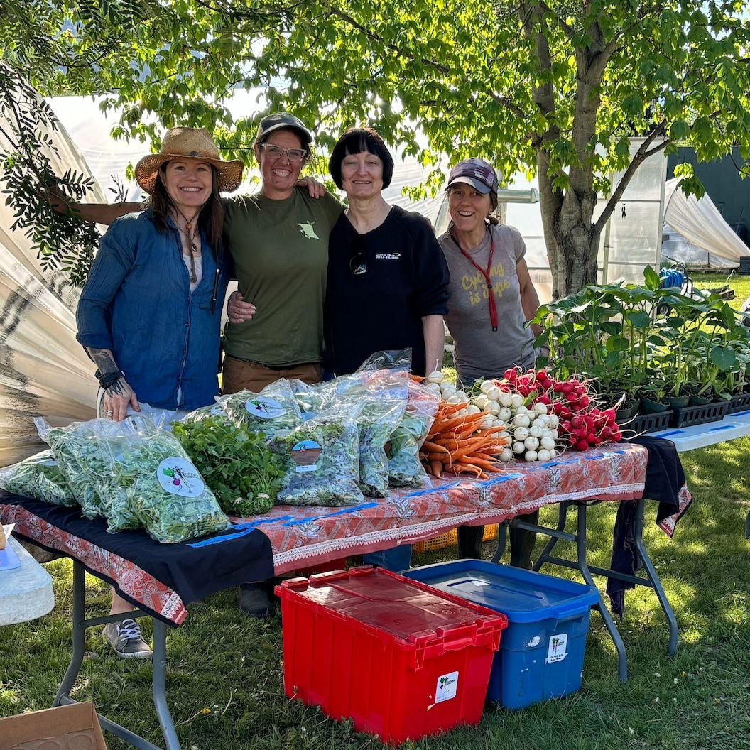 Updated Transplant Sale photo from earlier today! (See last post).

The Gang. Having a good time. Slinging plants and veggies. As we don't go to farmers market and don't have a farmstand, we love the one time a year where we get to really interact wi