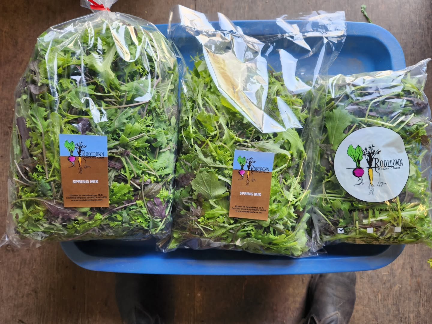 Salad sale at the Helmer's Farmstand! 

We have small, medium, and large bags on sale for your eating pleasure 😂

So why not stop on by if you are next door at the @thebeerfarmers and get your locally grown, delicious, healthy greens - or make the t