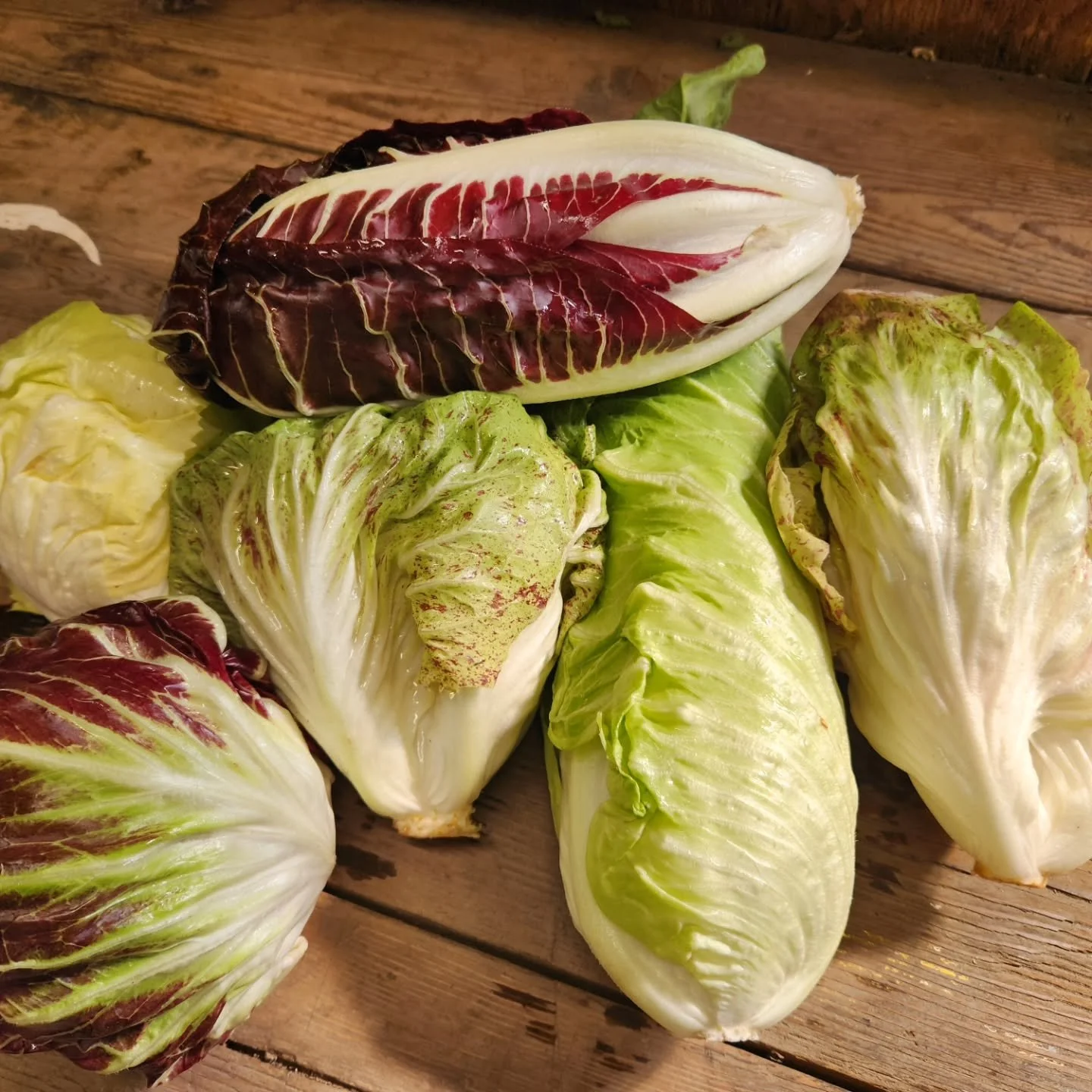 Last delivery of the year happens this week! For grocery store and restaurant partners in Pemberton and Whistler.

Delivery on Saturday, the 27th due to Christmas holidays, but orders are still due today (Wednesday, December 24th). 

Lots of good stu