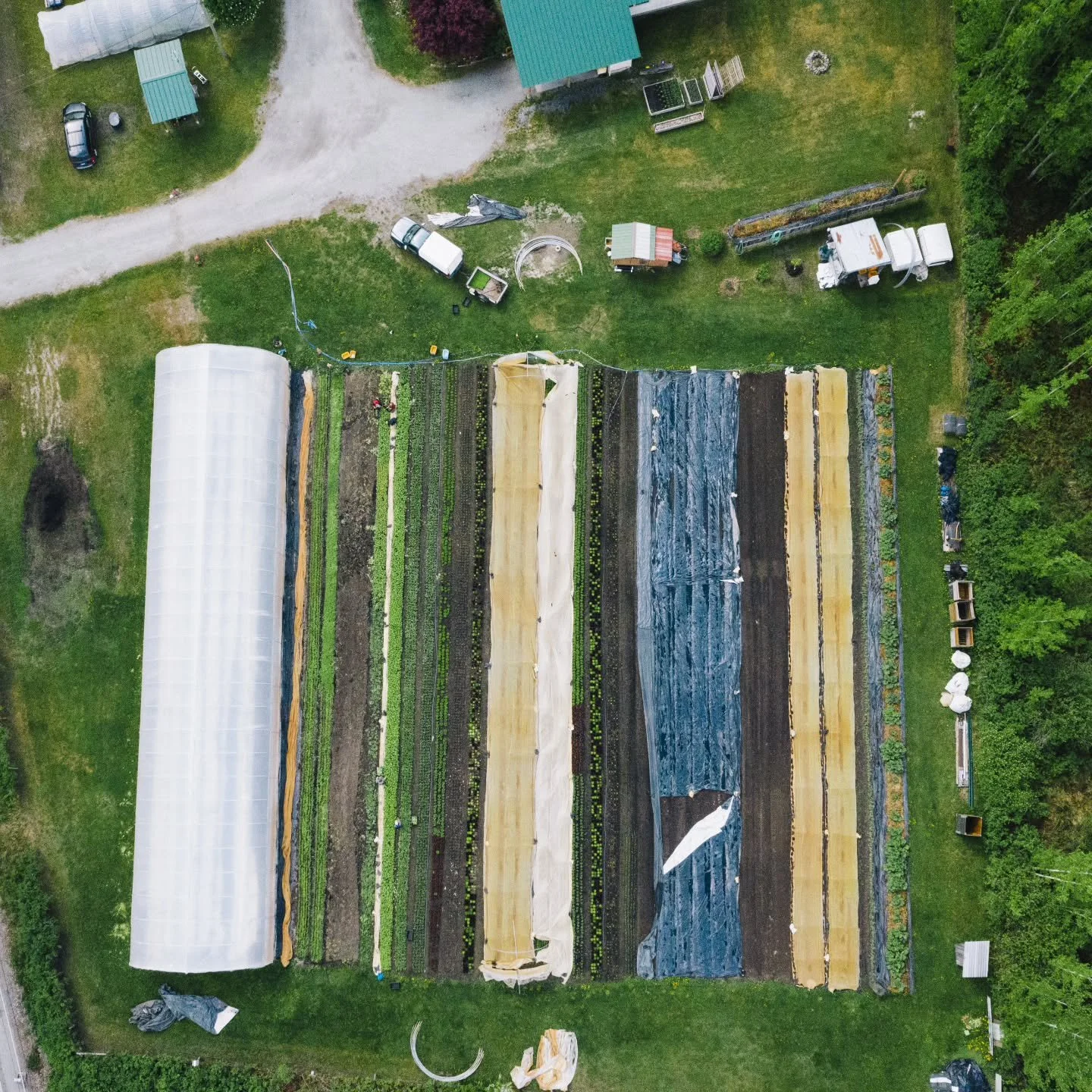 The farm looks different right now in the depths of winter, but we love this overhead shot of one of our two farm sites, taken back in the spring of 2025.

This is the smaller of the two field sites with about 1/2 an acre in production. It's the more