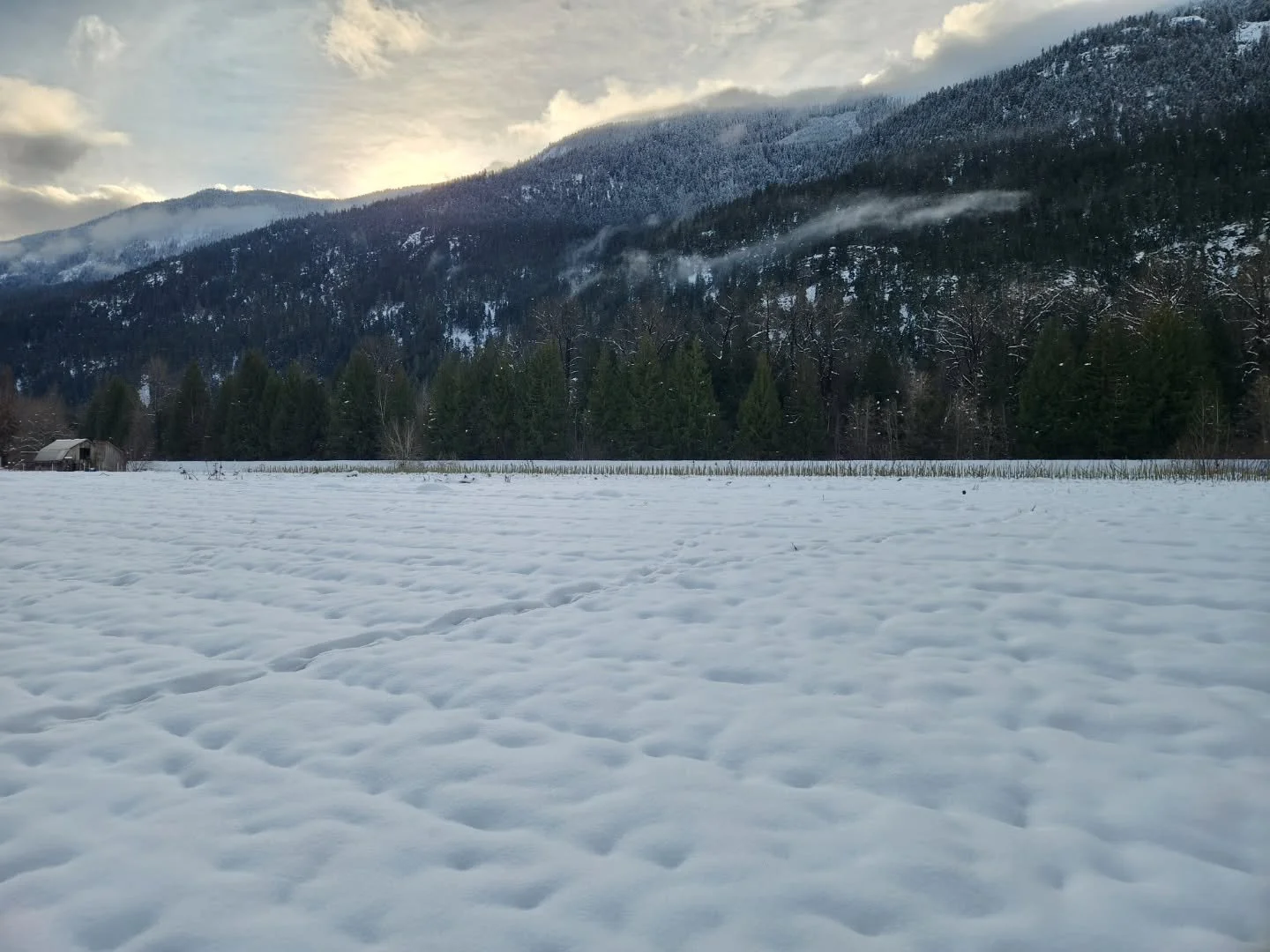 Wishing you a belated Happy New Year!

We haven't been too active online for the past couple weeks due to taking some down time to rest and recharge (see 3rd pic for evidence!).

And now the fields are covered in snow, and we are being busy bees 🐝, 