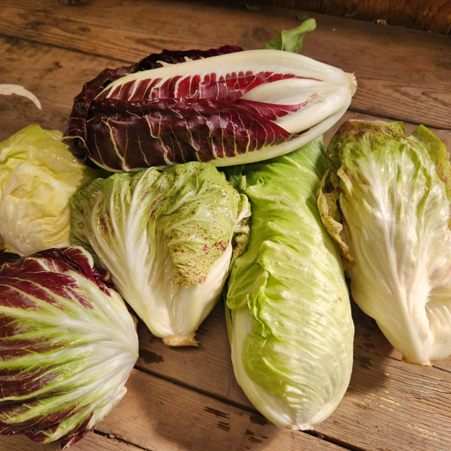 Last delivery of the year happens this week! For grocery store and restaurant partners in Pemberton and Whistler.

Delivery on Saturday, the 27th due to Christmas holidays, but orders are still due today (Wednesday, December 24th). 

Lots of good stu