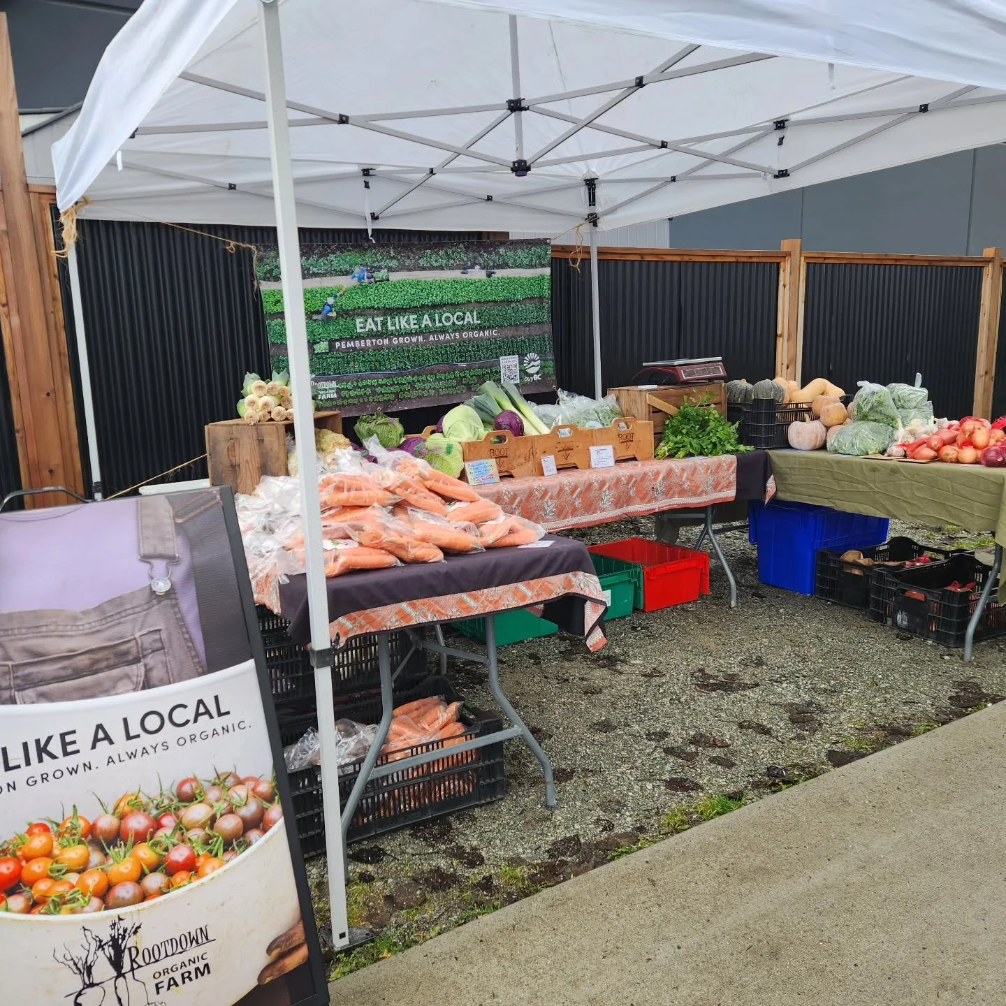 All set up at @the_bread_warehouse until 2:30 today, last time for the season! 

We have lots of late season abundance. Come stock up for winter, for the holidays, or just for the week ahead 😉

🥕🌱&hearts;️

#rootdownorganicfarm #thebreadwarehouse 